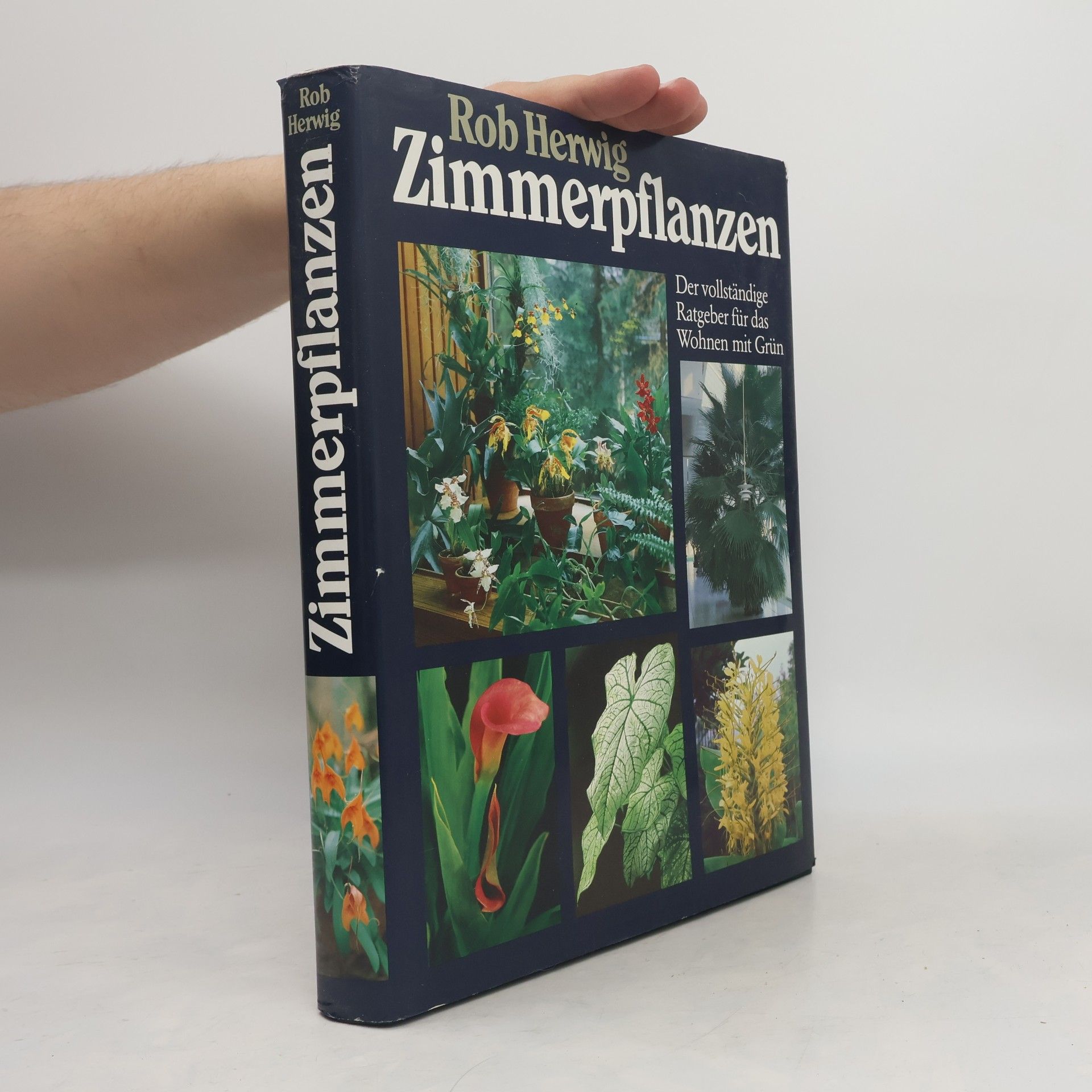Rob Herwig Zimmerpflanzen