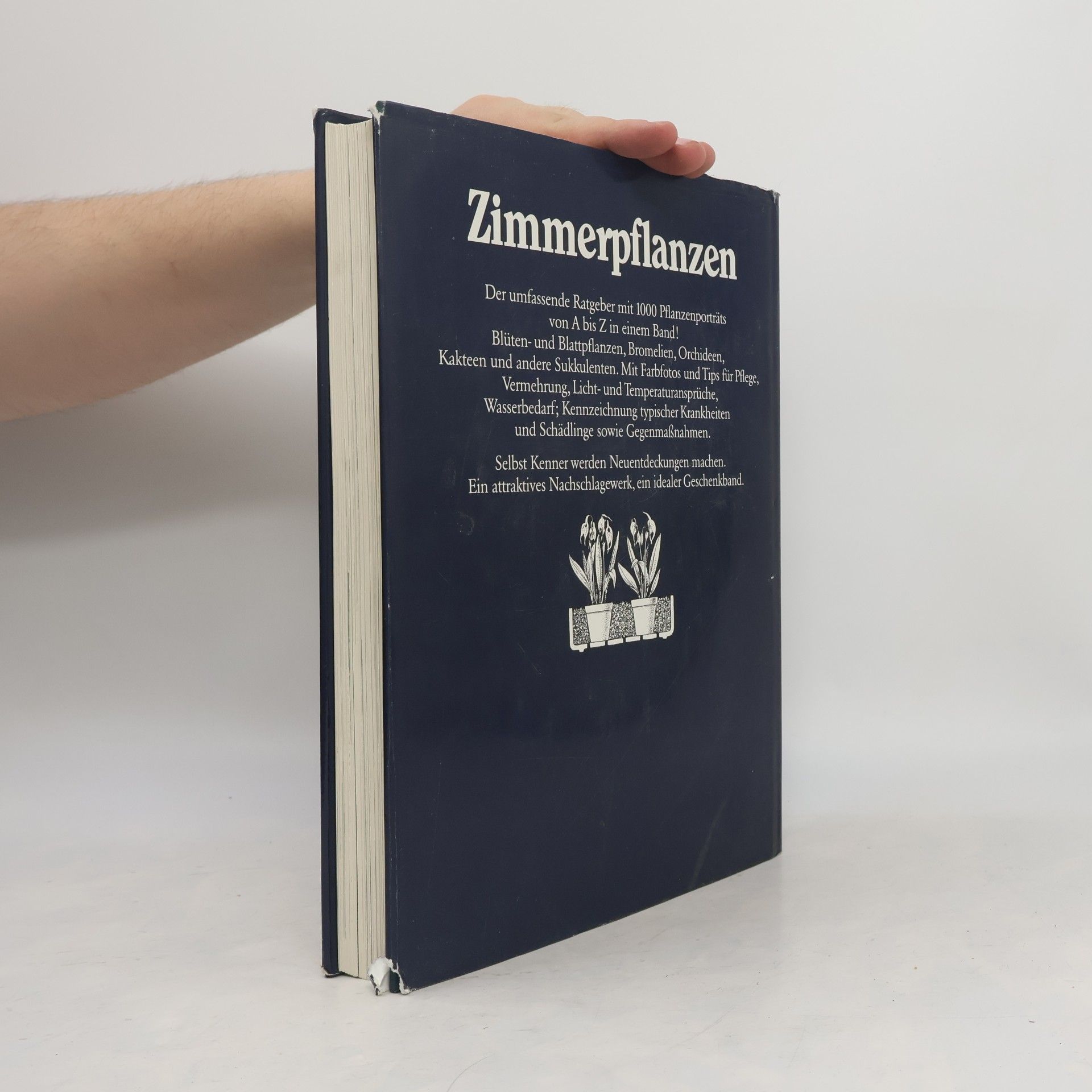 Rob Herwig Zimmerpflanzen