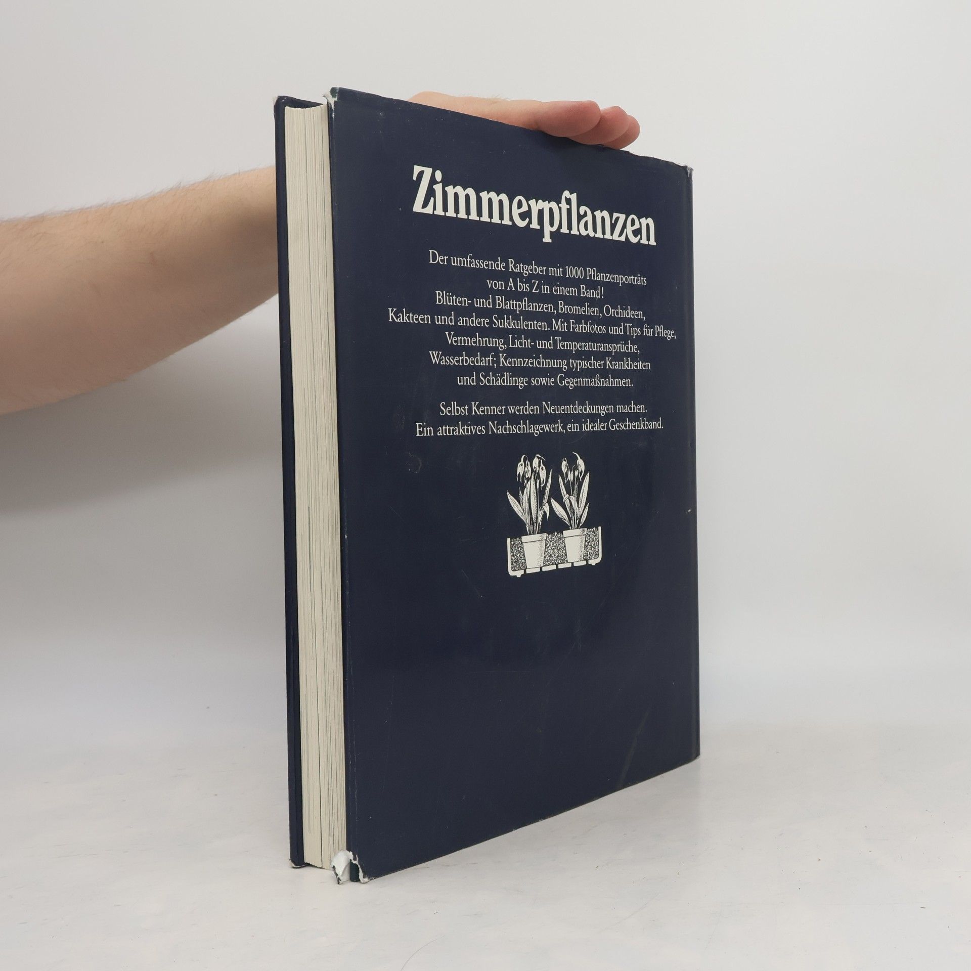 Rob Herwig Zimmerpflanzen
