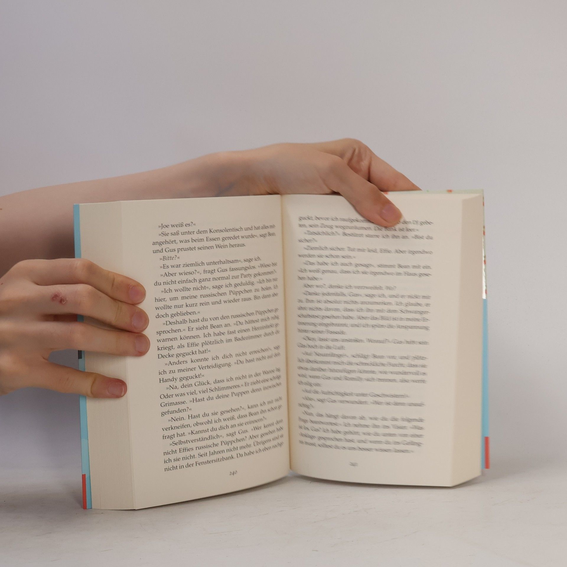 Sophie Kinsella Die Familienfeier
