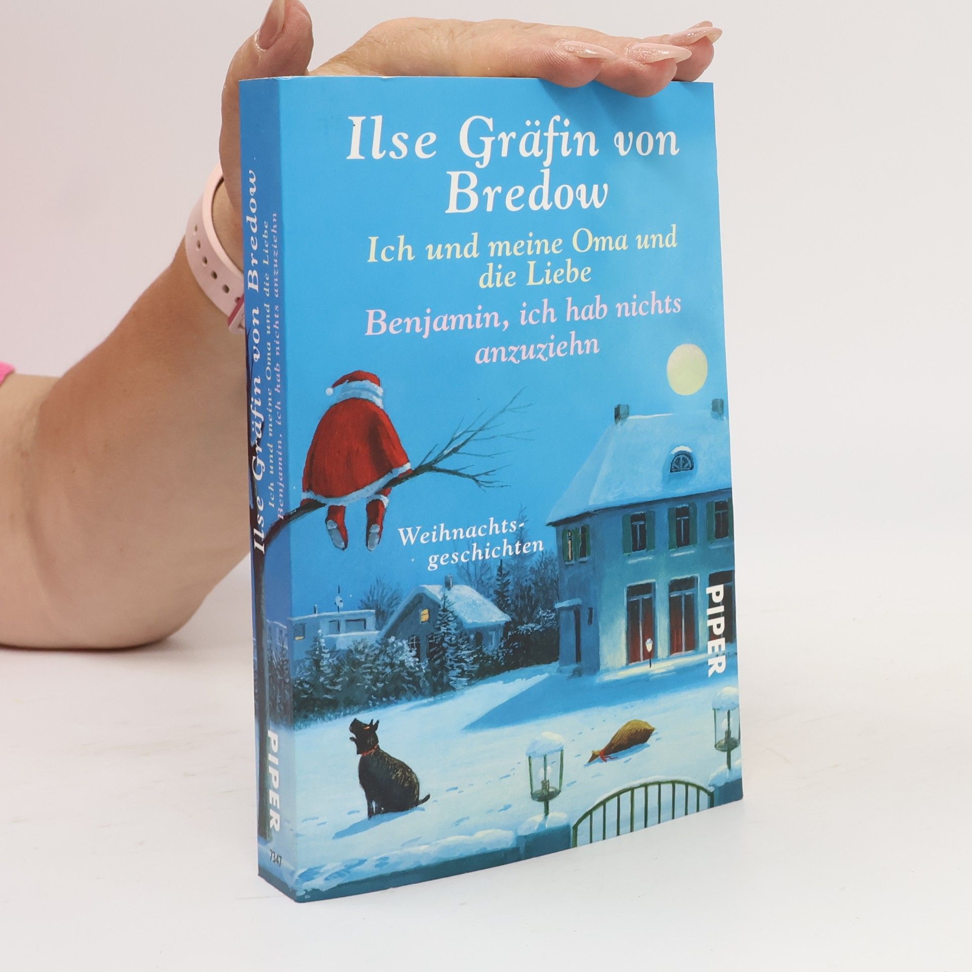Ilse Gräffin von Bredow  Ich und meine Oma und die Liebe