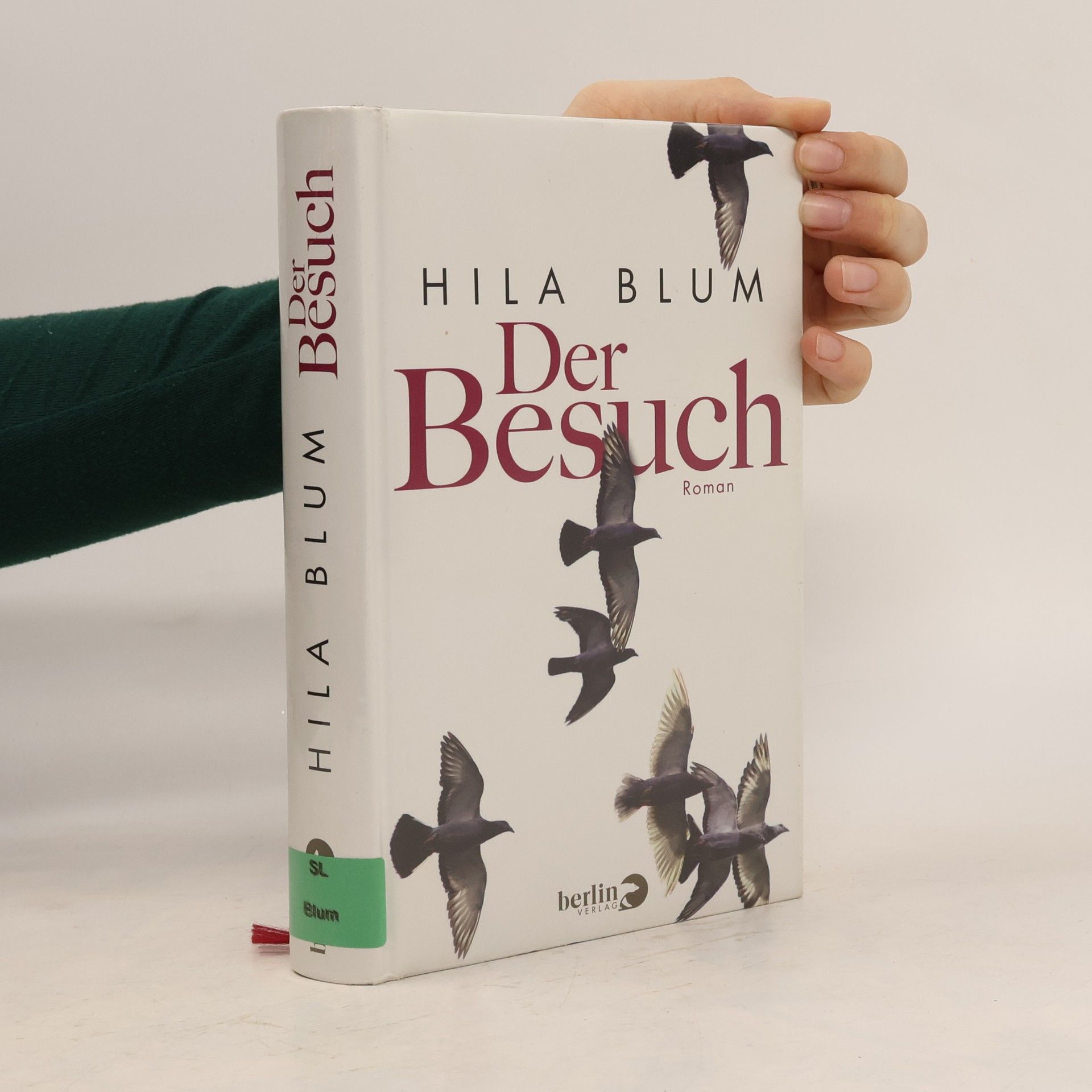 Hilah Blum Der Besuch