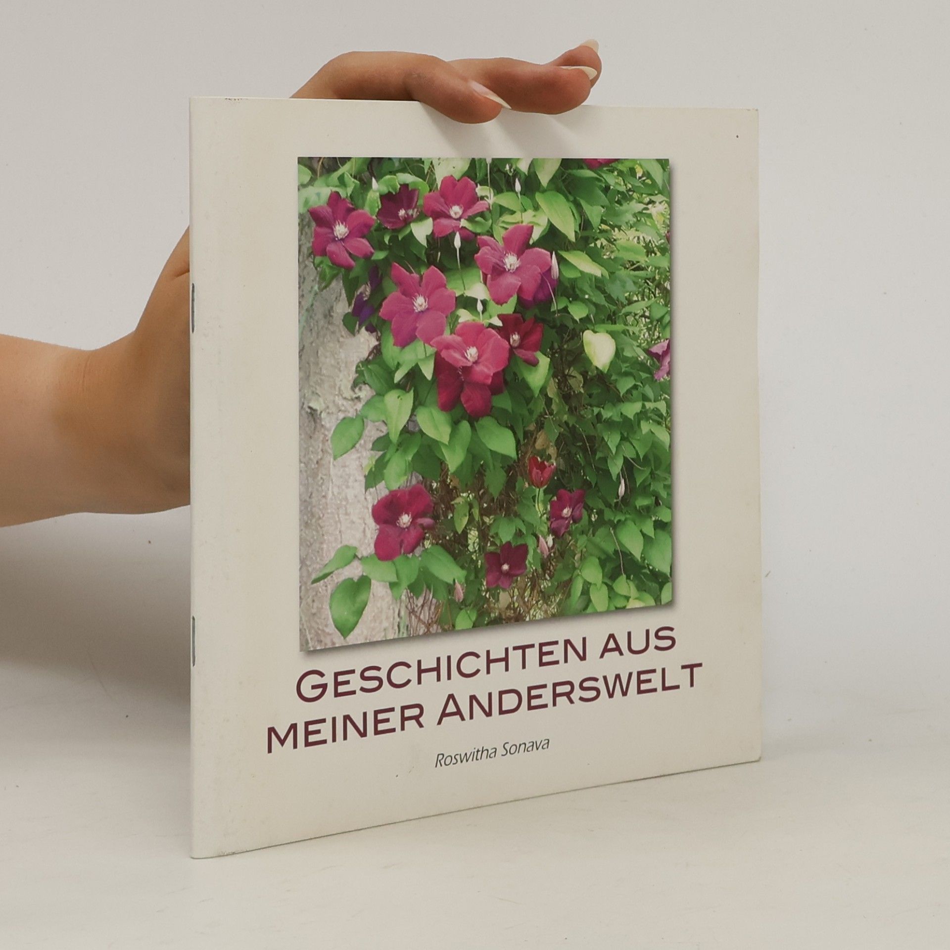 Geschichten aus meiner Anderswelt