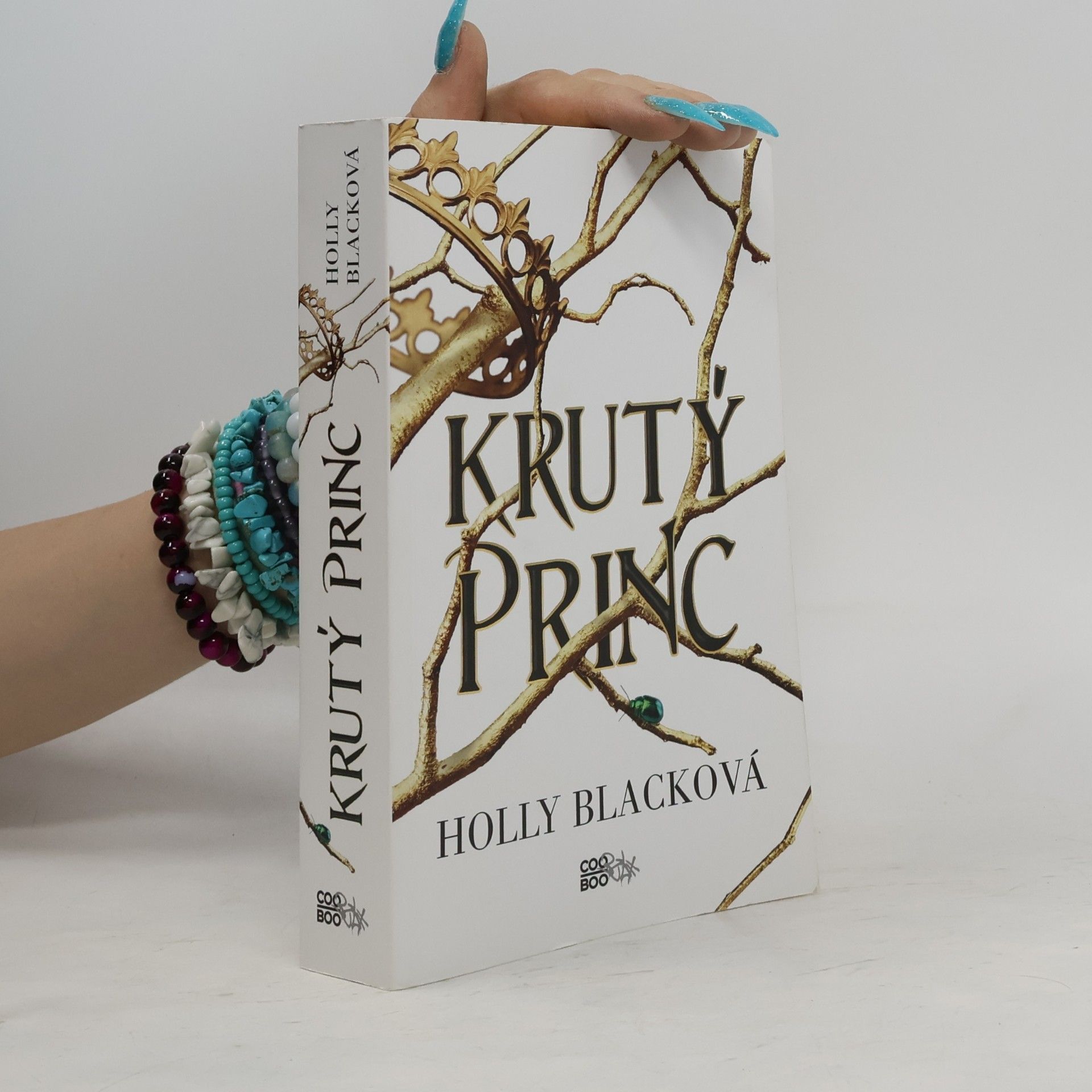 Holly Black Krutý princ