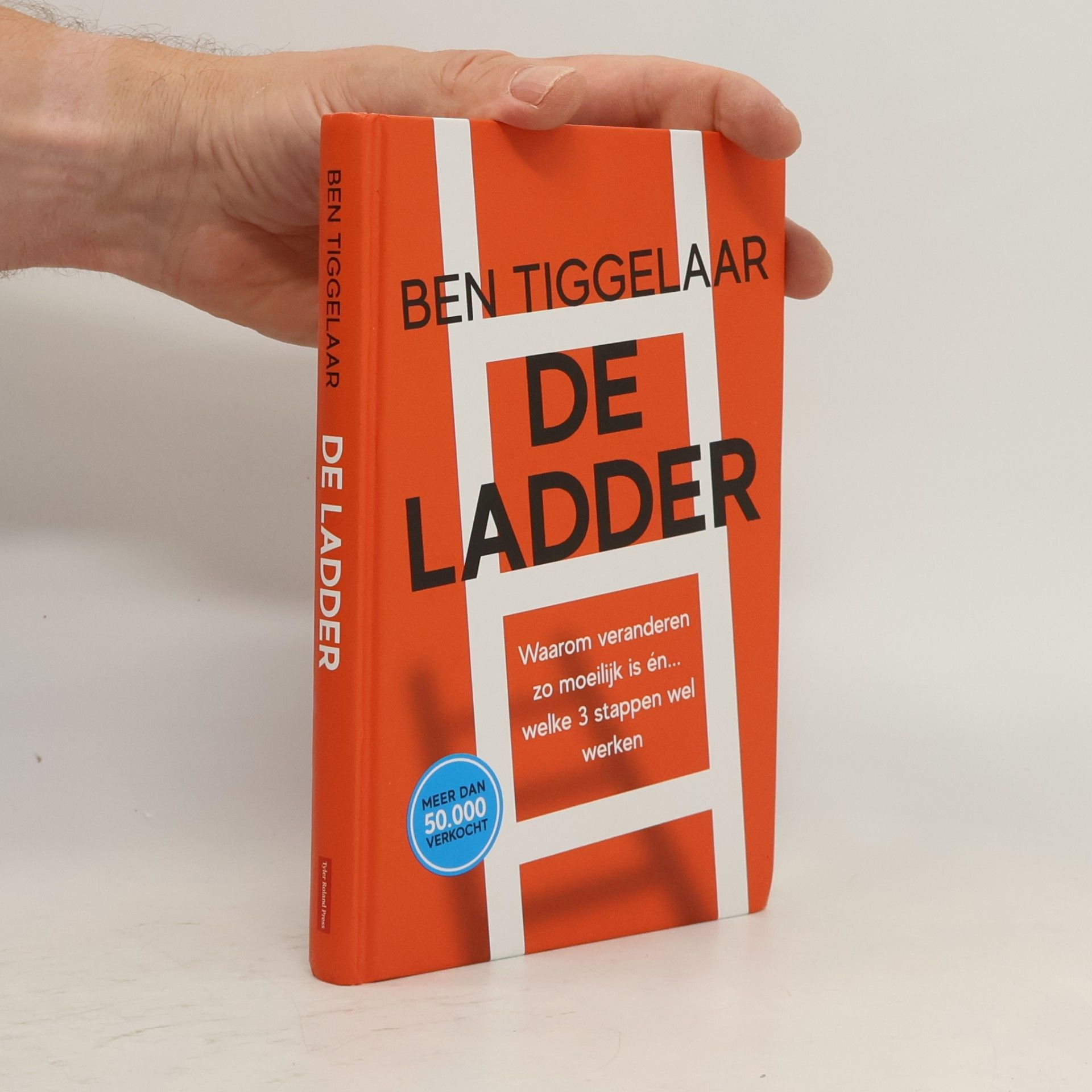 Ben Tiggelaar De ladder