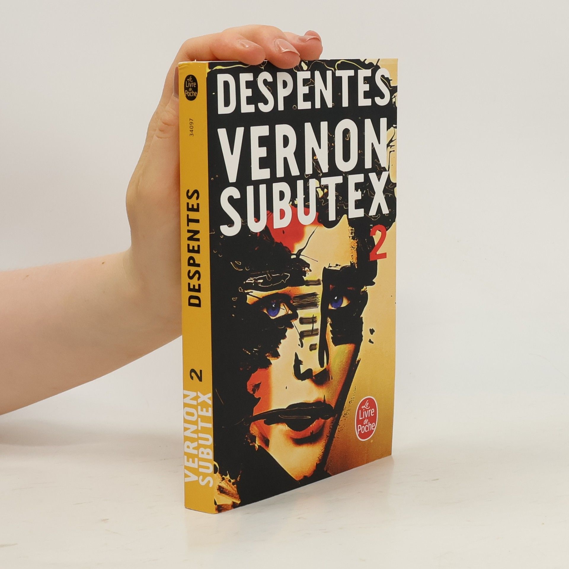 Virginie Despentes Vernon Subutex 2