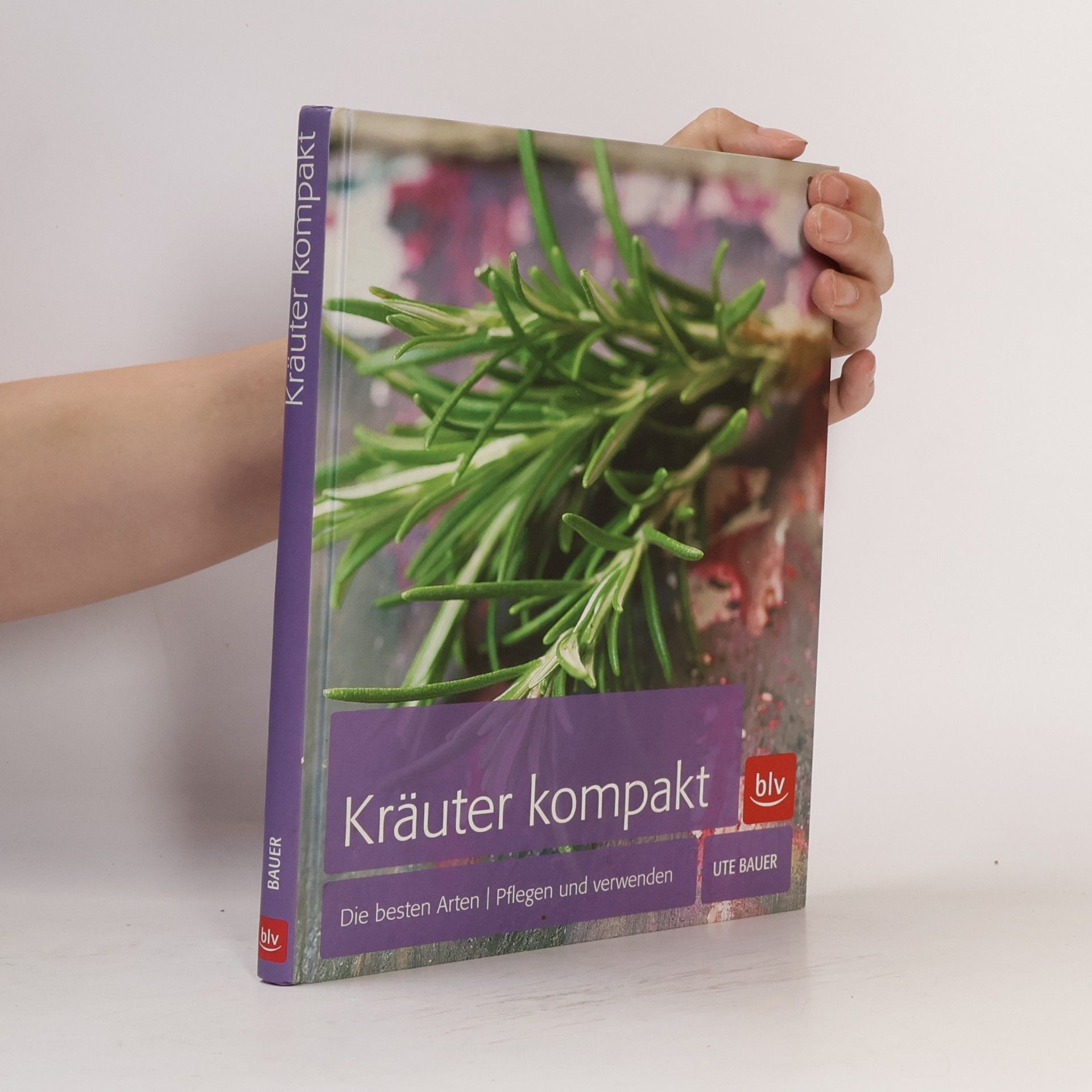 Ute Bauer Kräuter kompakt