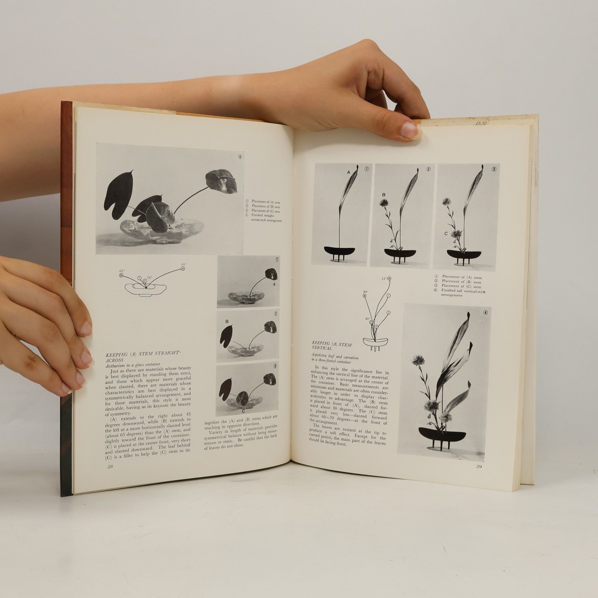 AA.VV. Ikebana. New Guidebook