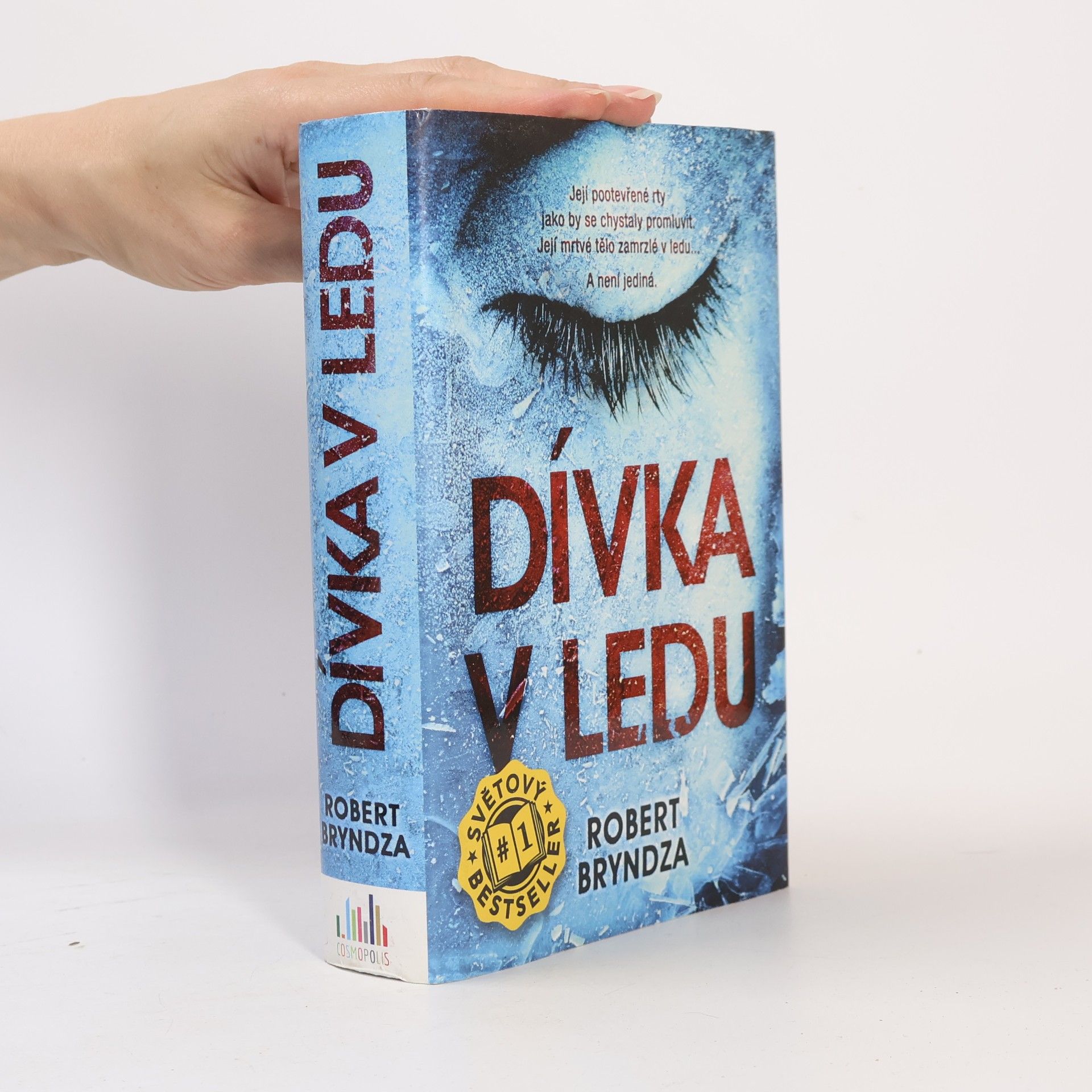 Robert Bryndza Dívka v ledu