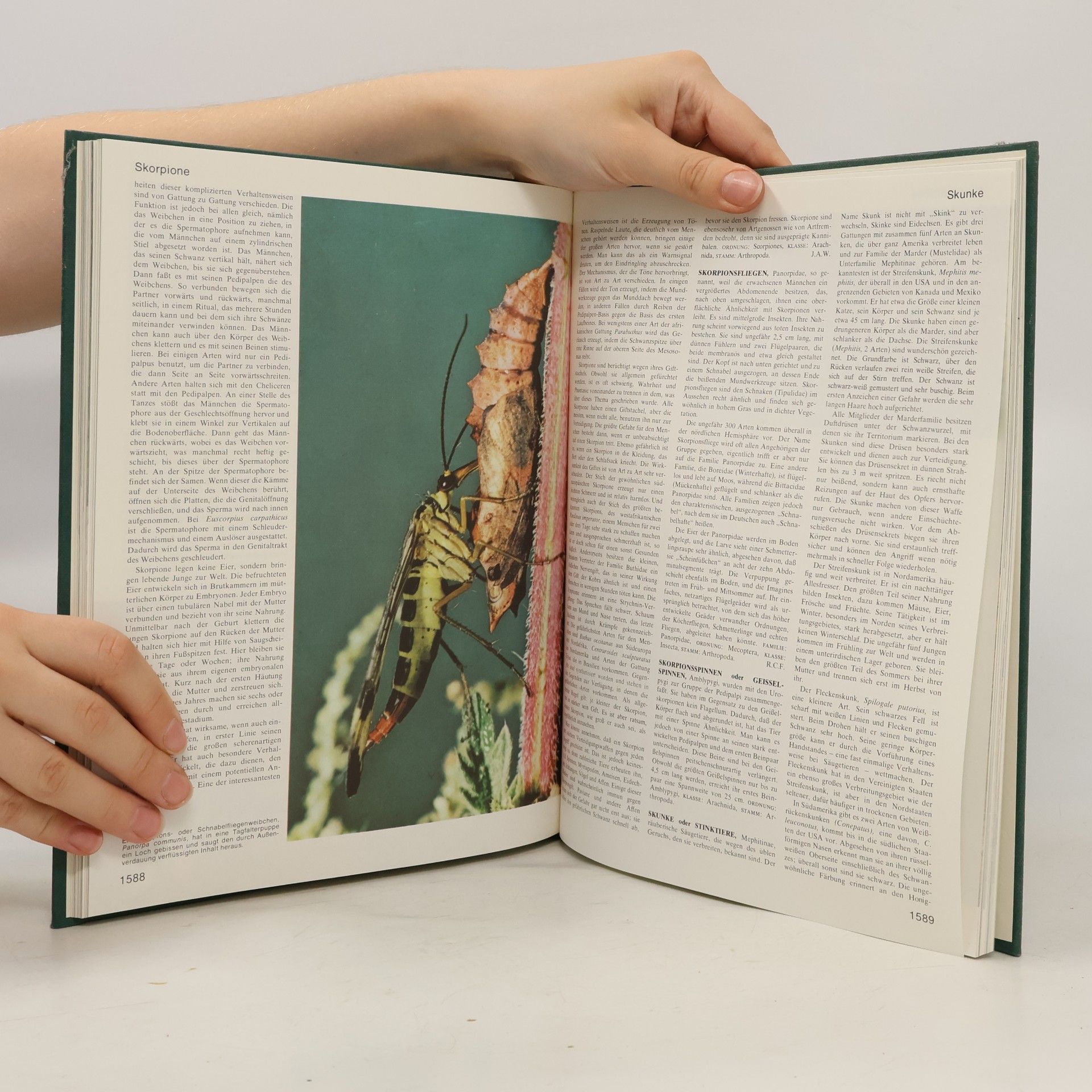 Autorenkollektiv Das grosses Lexikon der Tierwelt 10