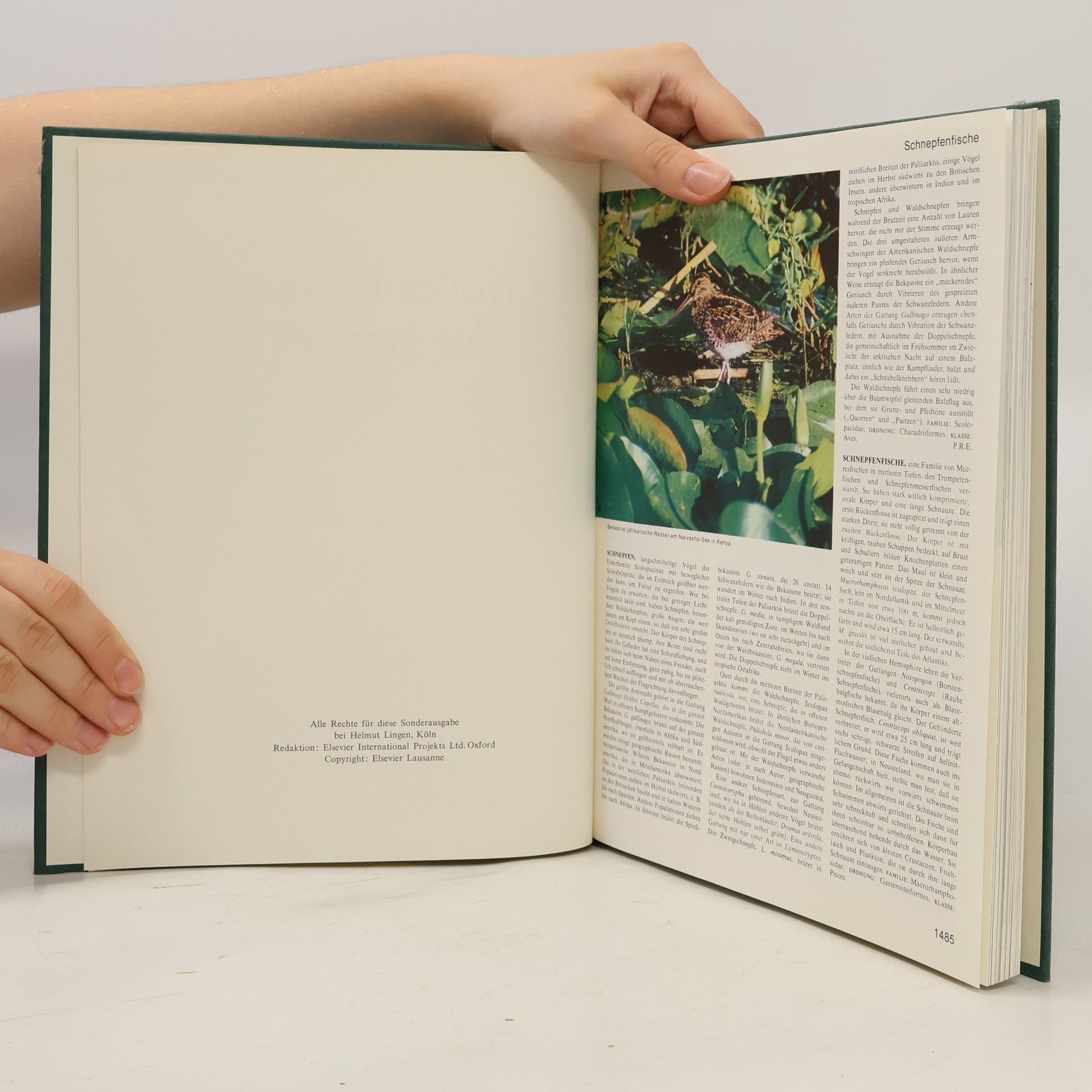Autorenkollektiv Das grosses Lexikon der Tierwelt 10