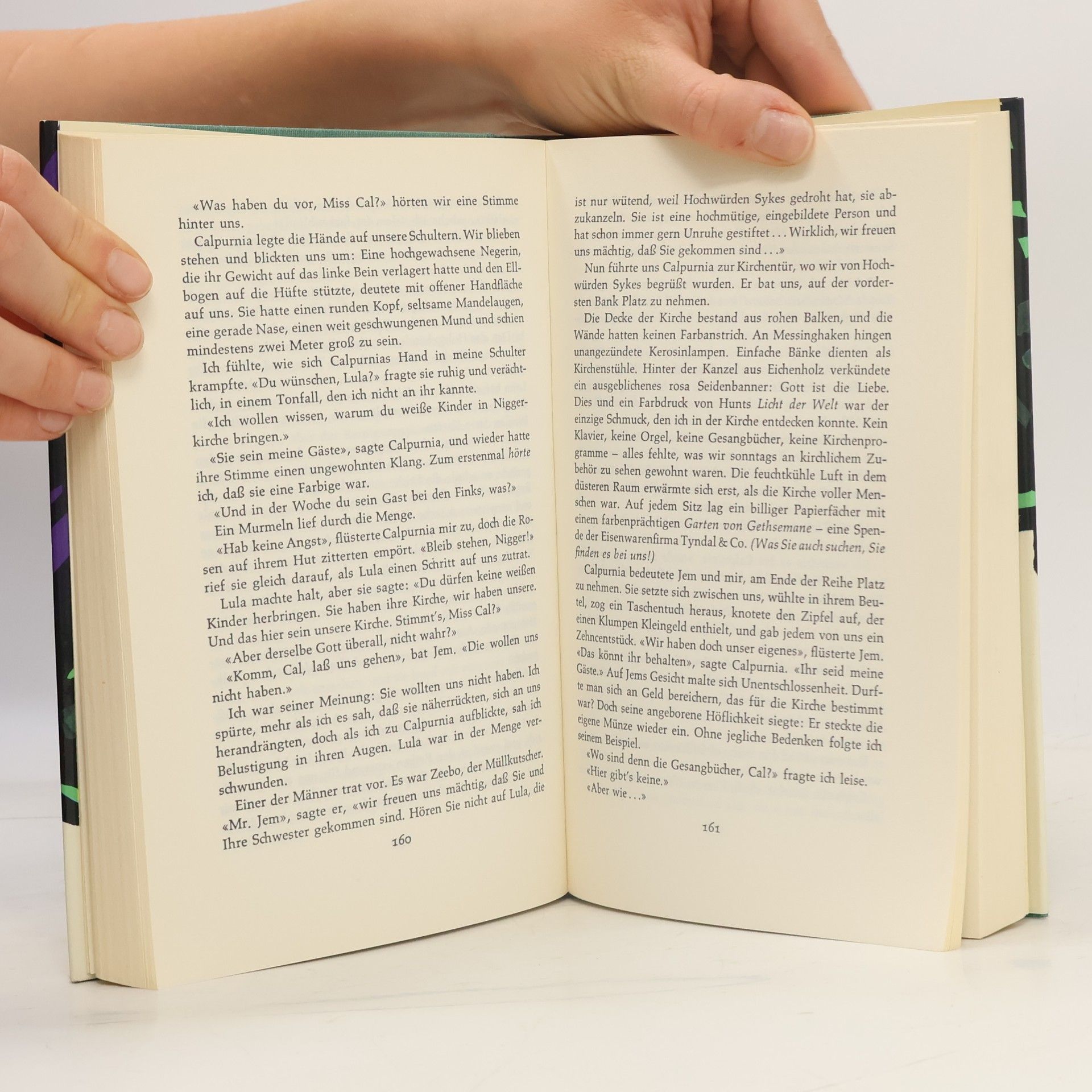 Harper Lee Wer die Nachtigall stört