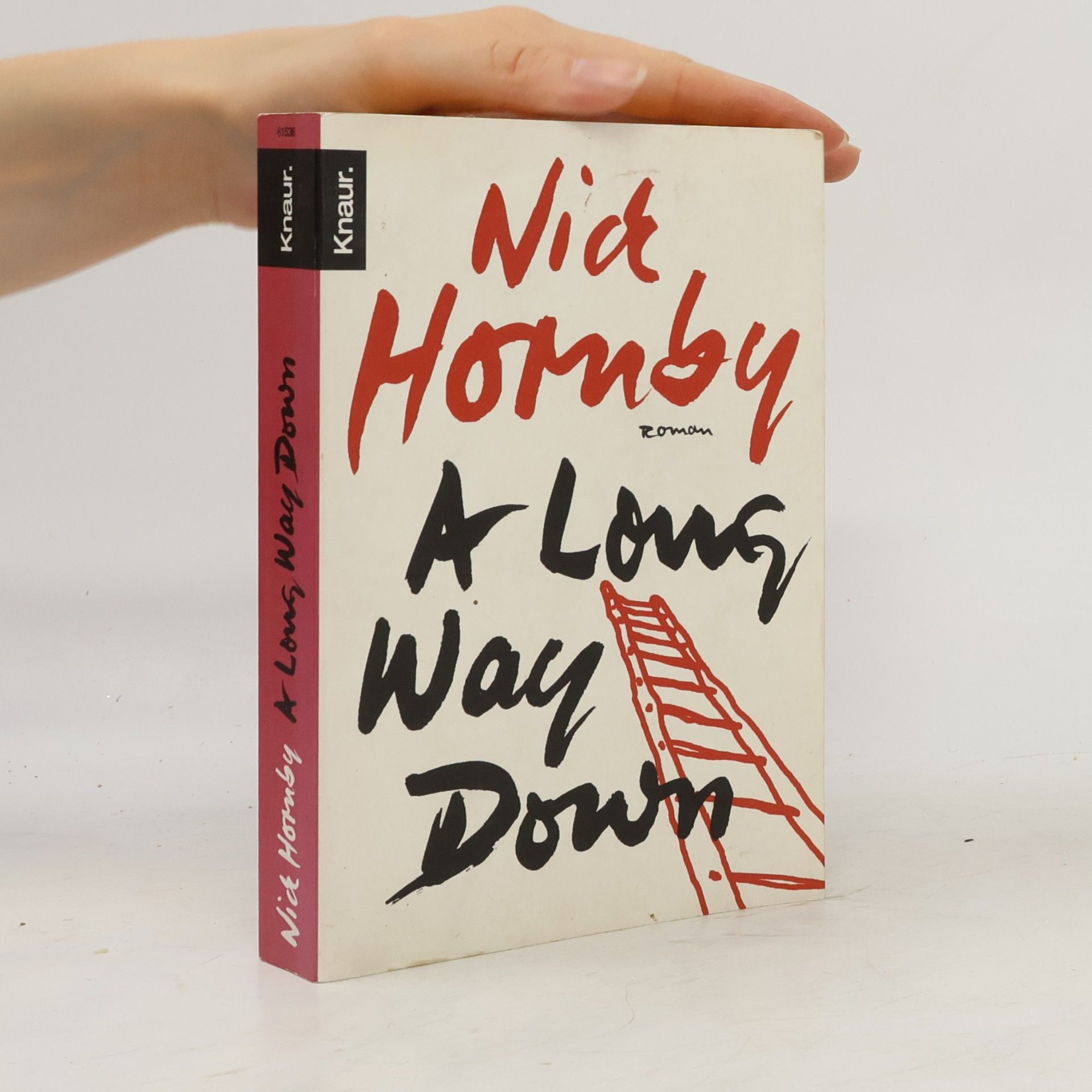Nick Hornby A long way down