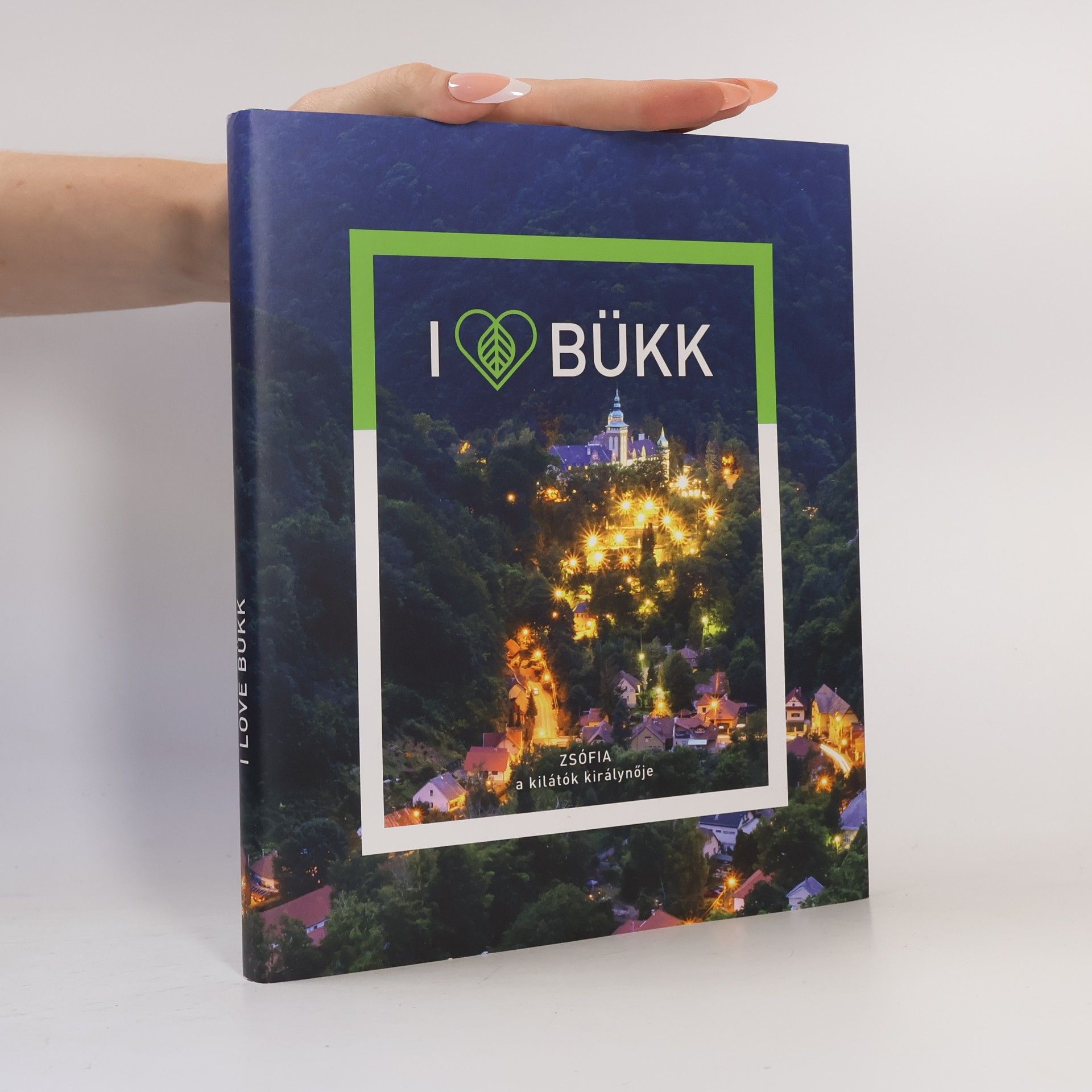 Collectif d'auteurs I Love Bükk