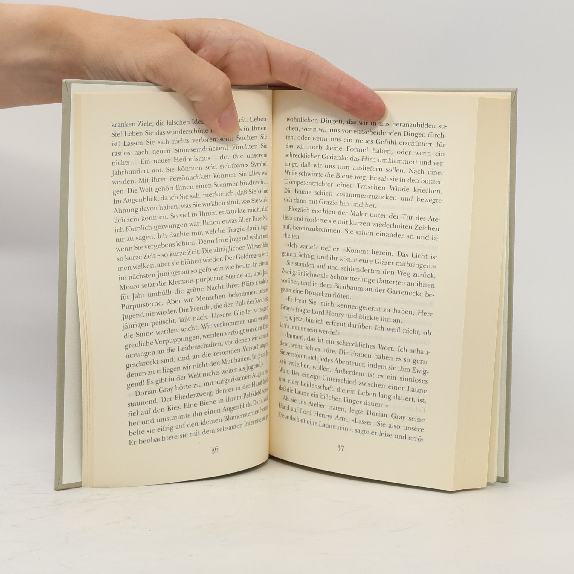 Oscar Wilde Das Bildnis des Dorian Gray