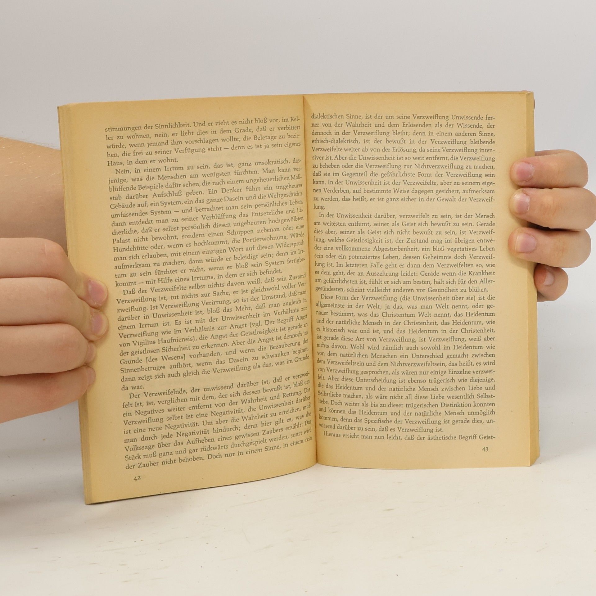Søren Kierkegaard Die Krankheit zum Tode