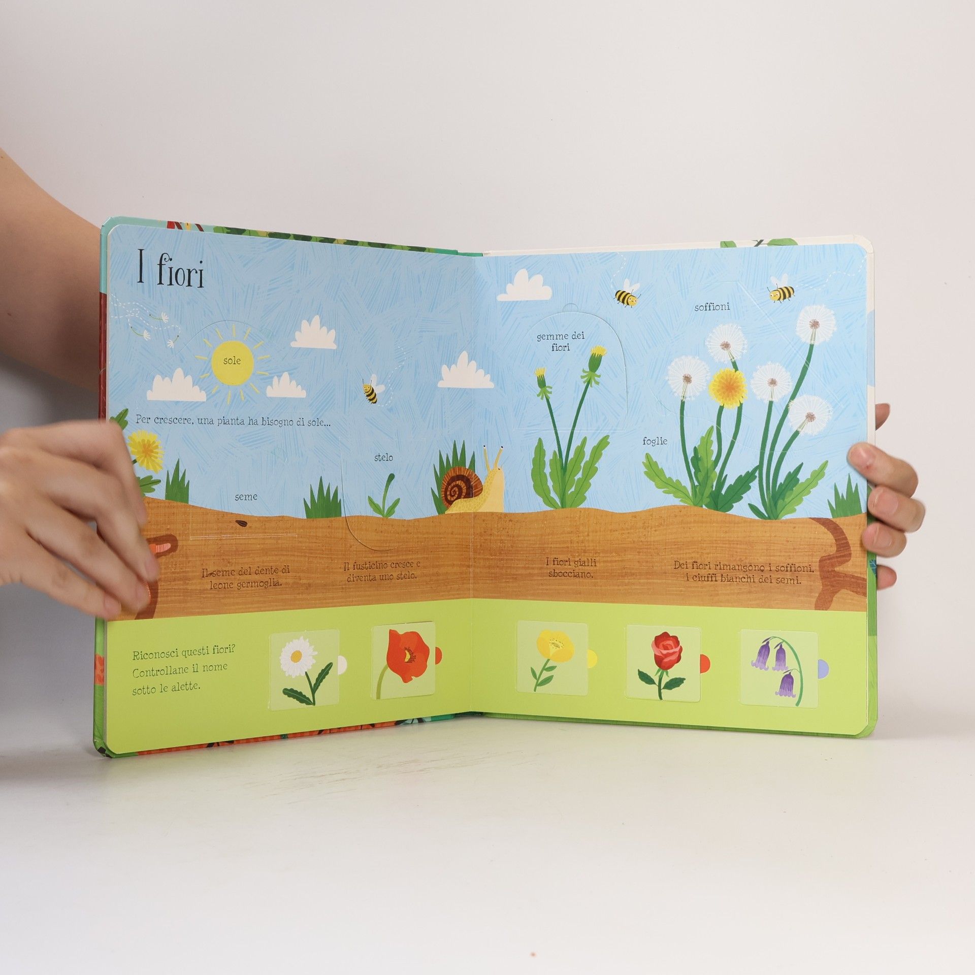 Jessica Greenwell Libri con alette: La natura. Ediz. a colori