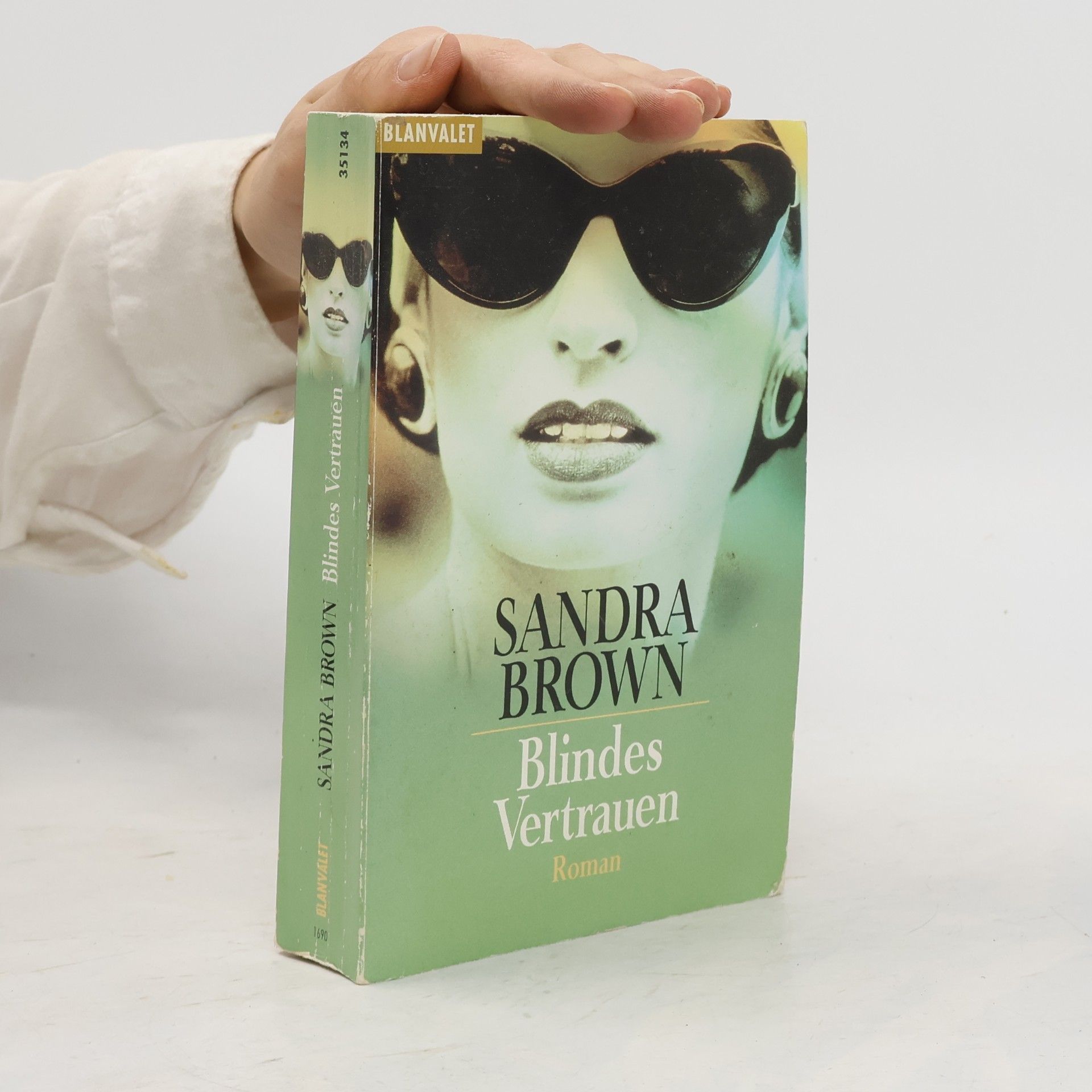 Sandra Brown Blindes Vertrauen