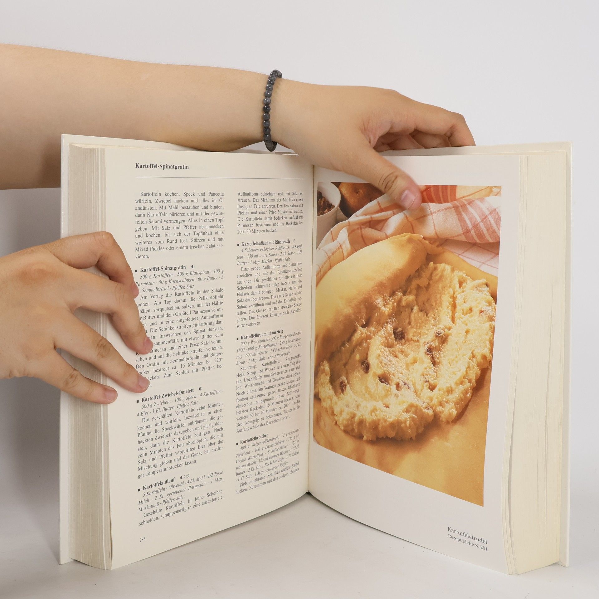 Ina Friedrich Lechner's Rezeptlexikon Kochen
