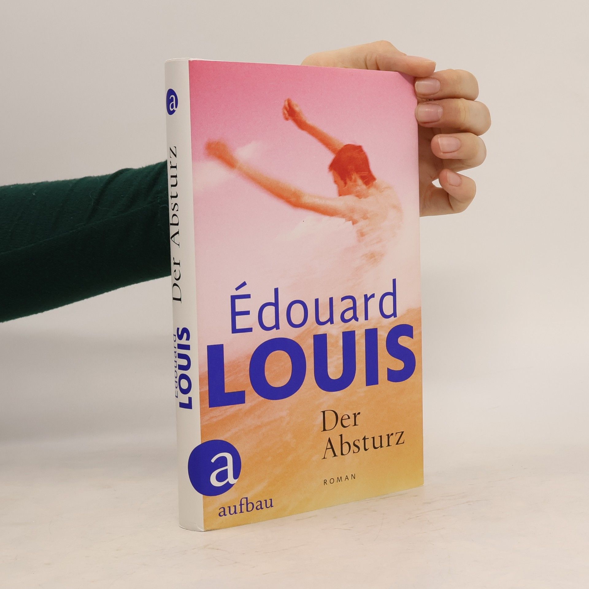 Édouard Louis Der Absturz