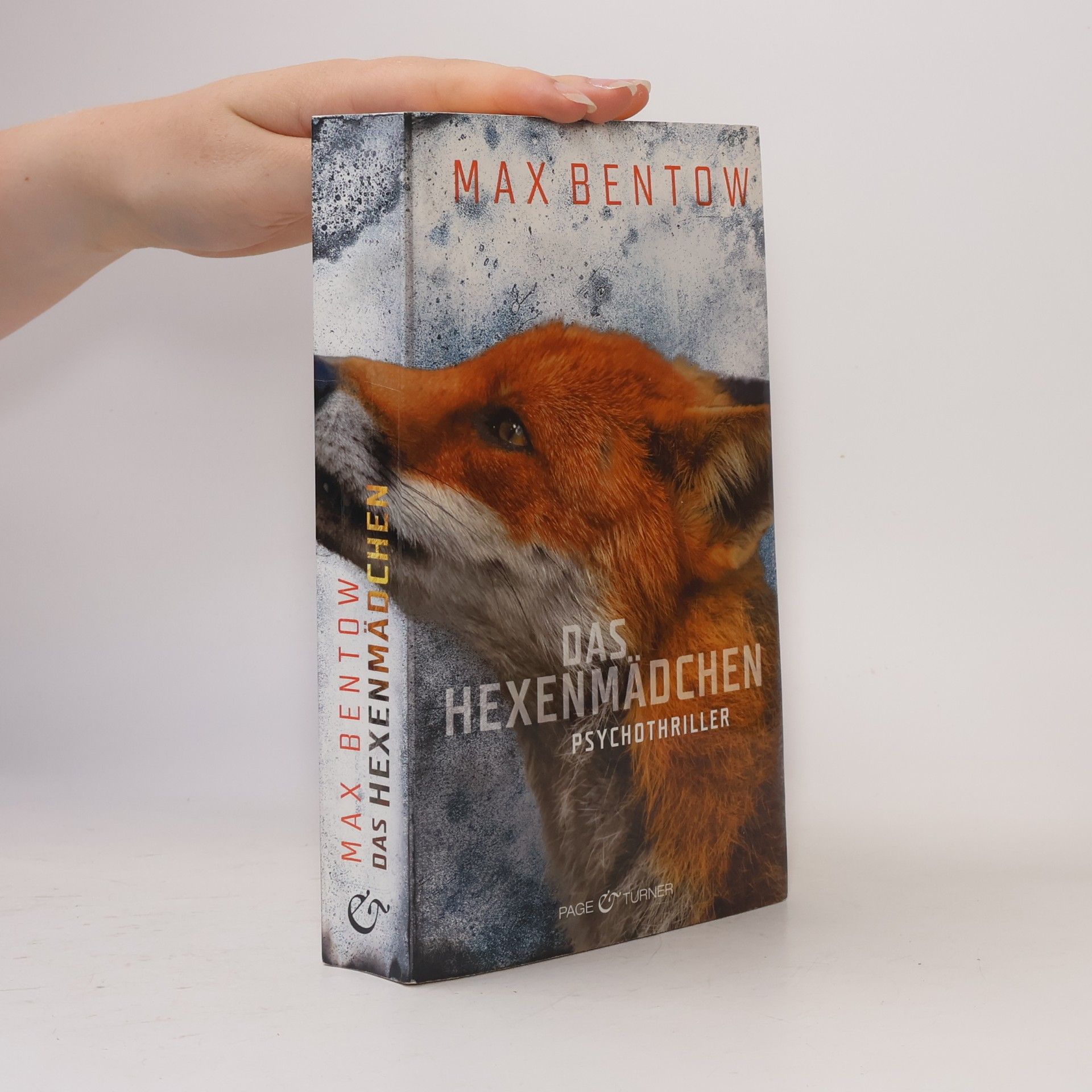 Max Bentow Das Hexenmädchen