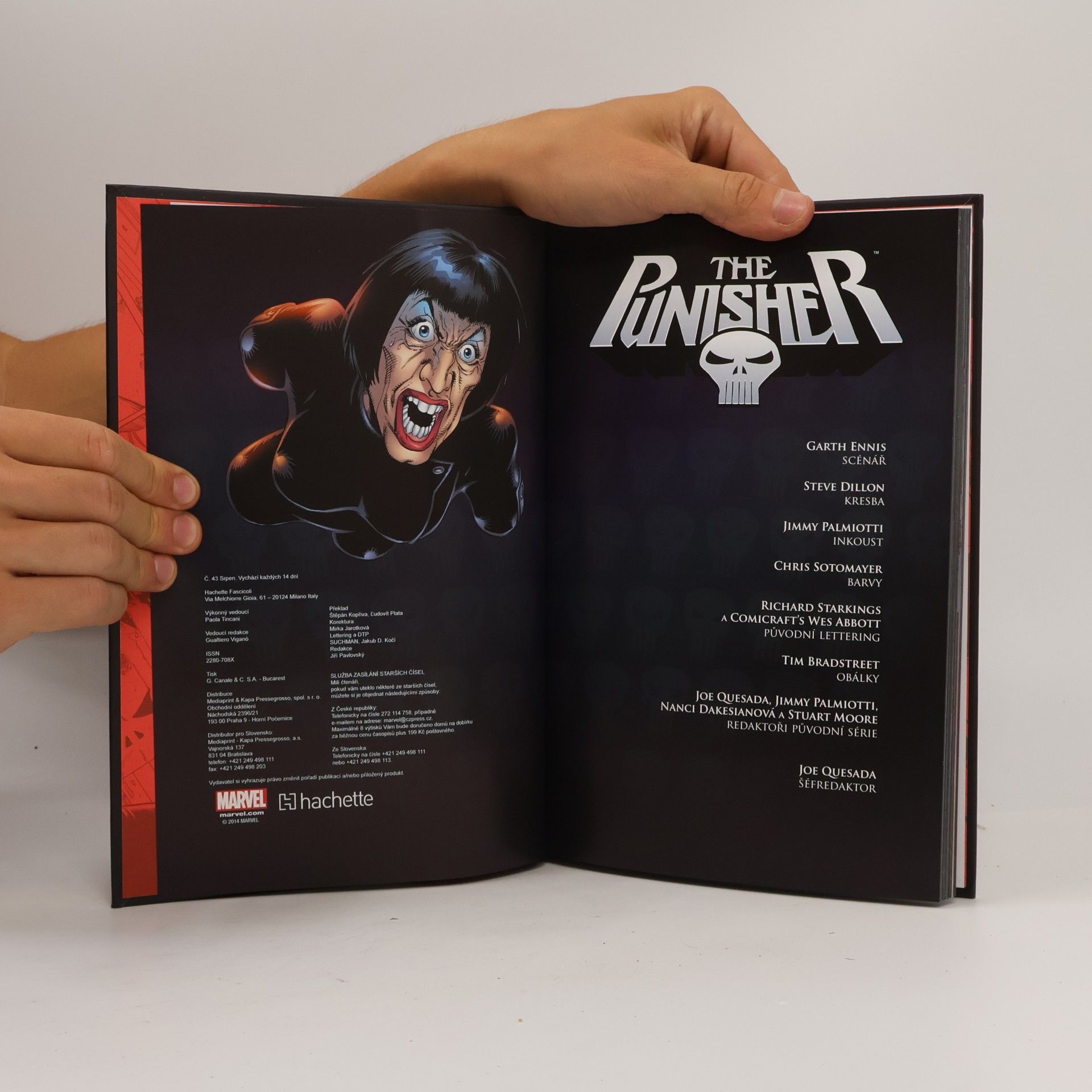 Garth Ennis Ultimátní komiksový komplet 17. The Punisher
