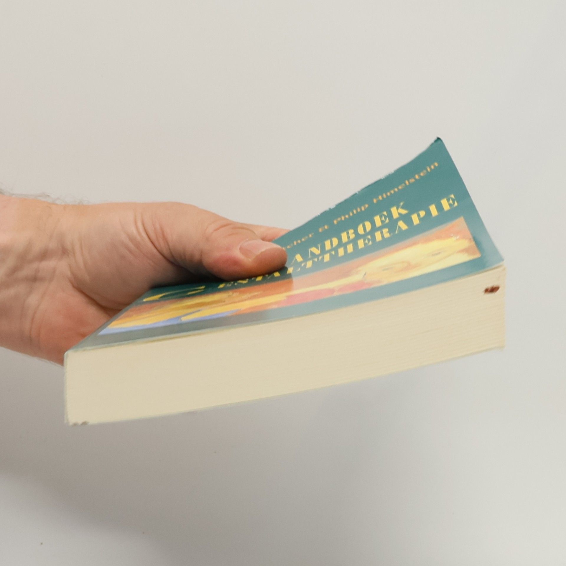 Chris Hatcher Handboek gestalttherapie
