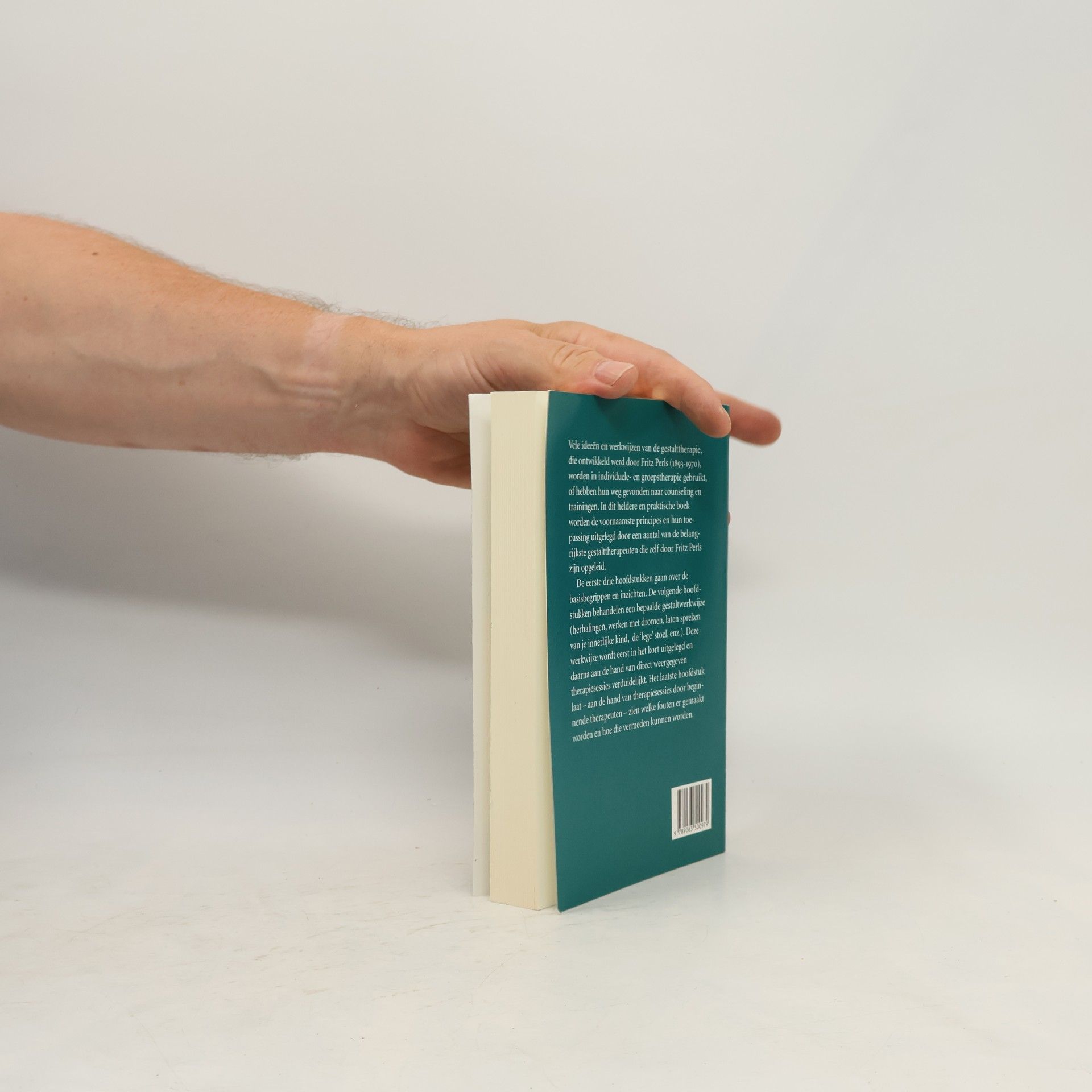 Chris Hatcher Handboek gestalttherapie