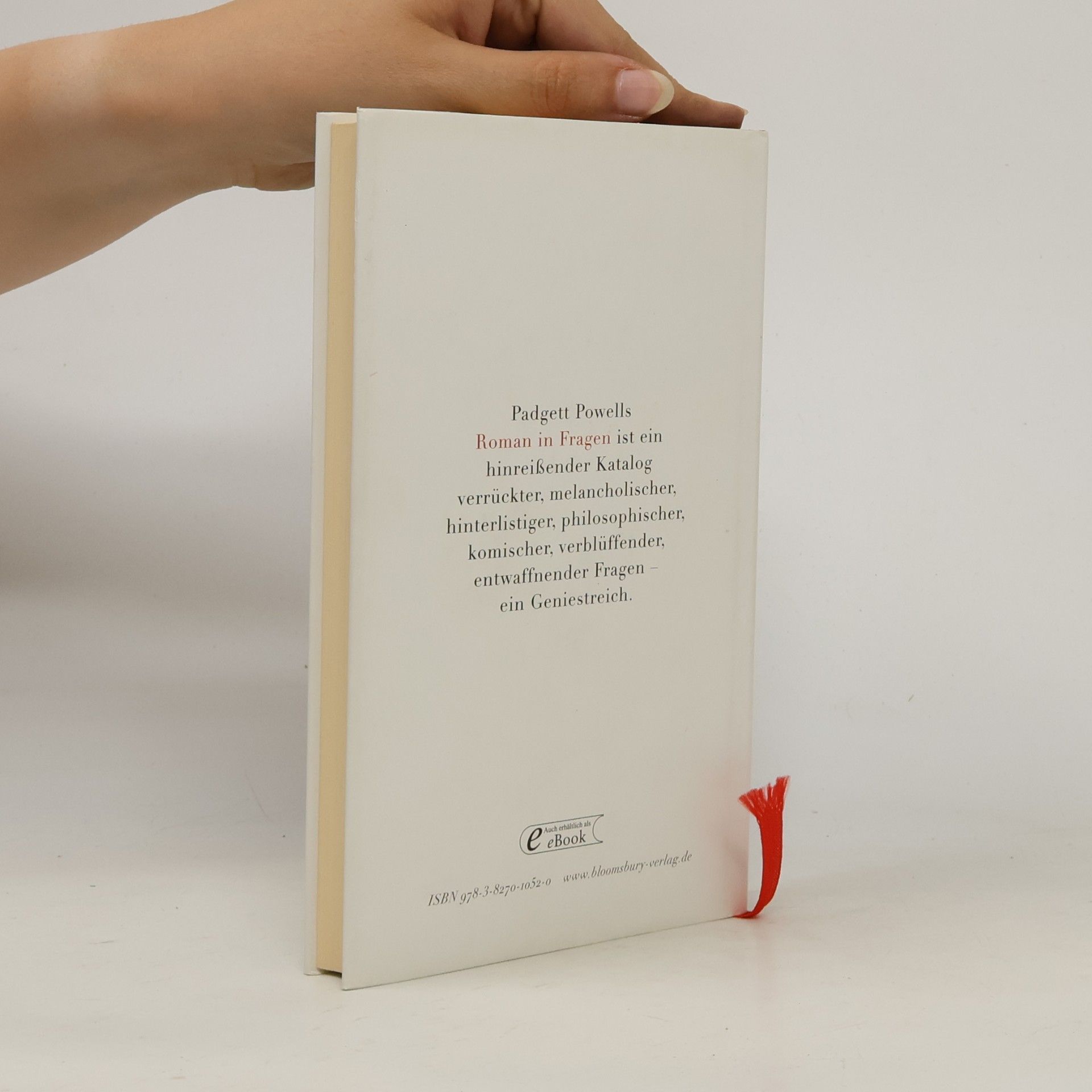 Padgett Powell Roman in Fragen