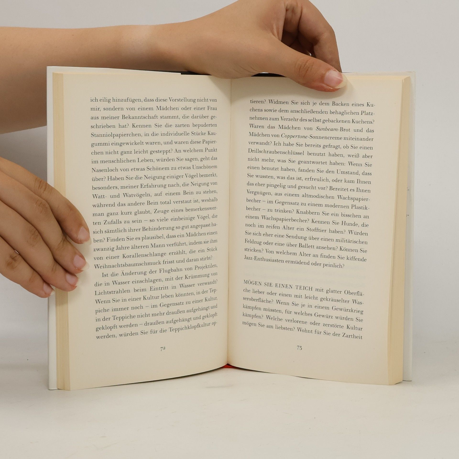 Padgett Powell Roman in Fragen