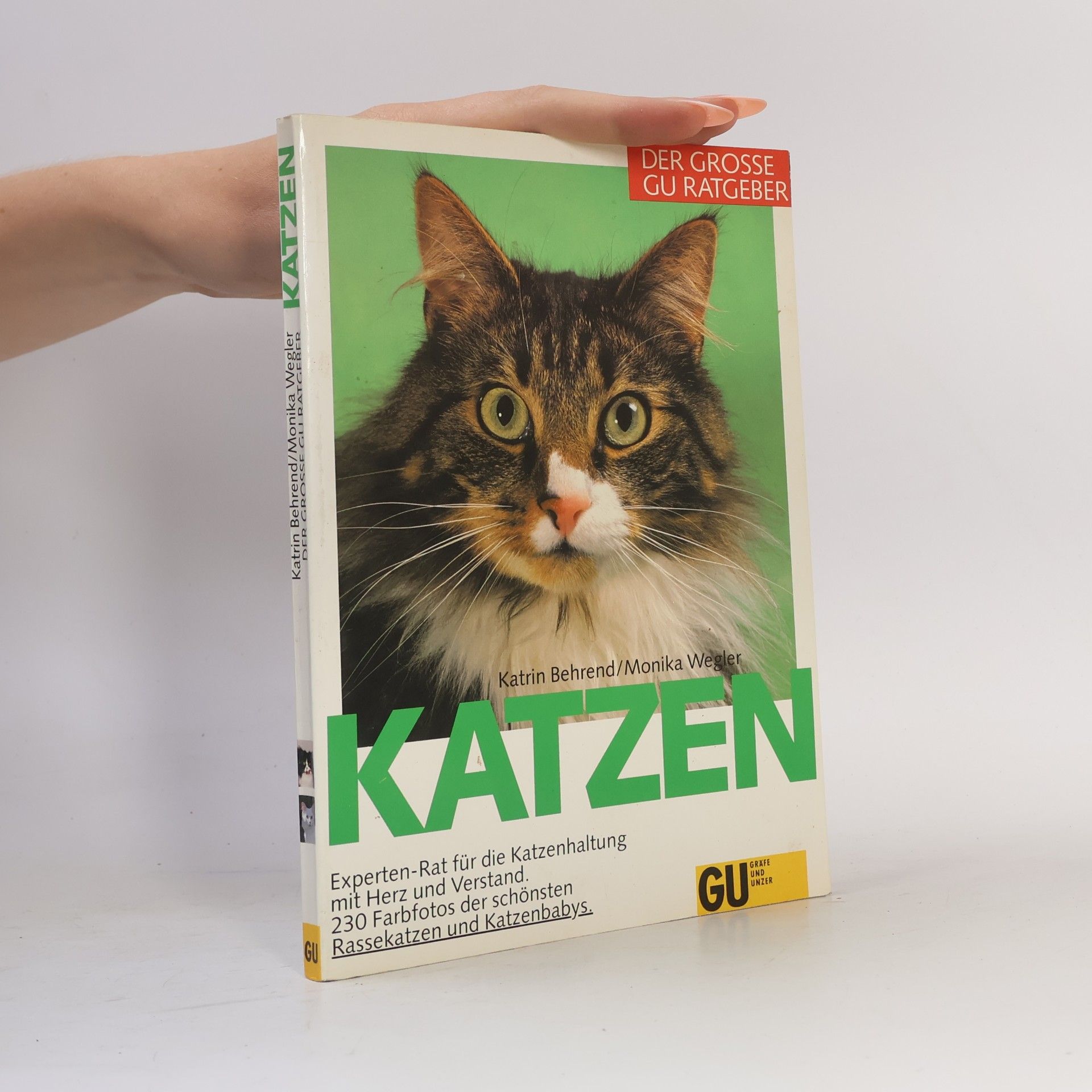 Katrin Behrend Katzen