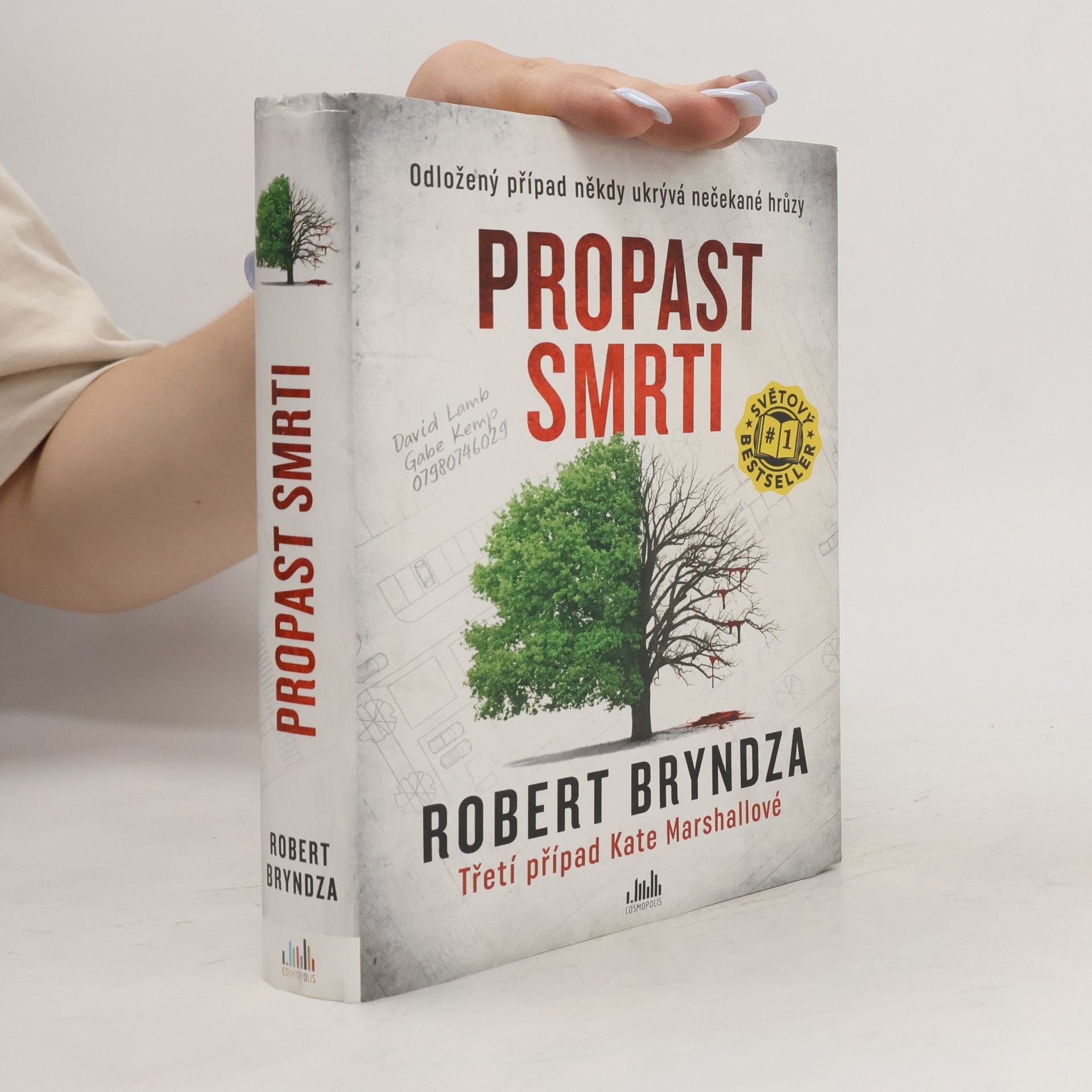 Robert Bryndza Propast smrti