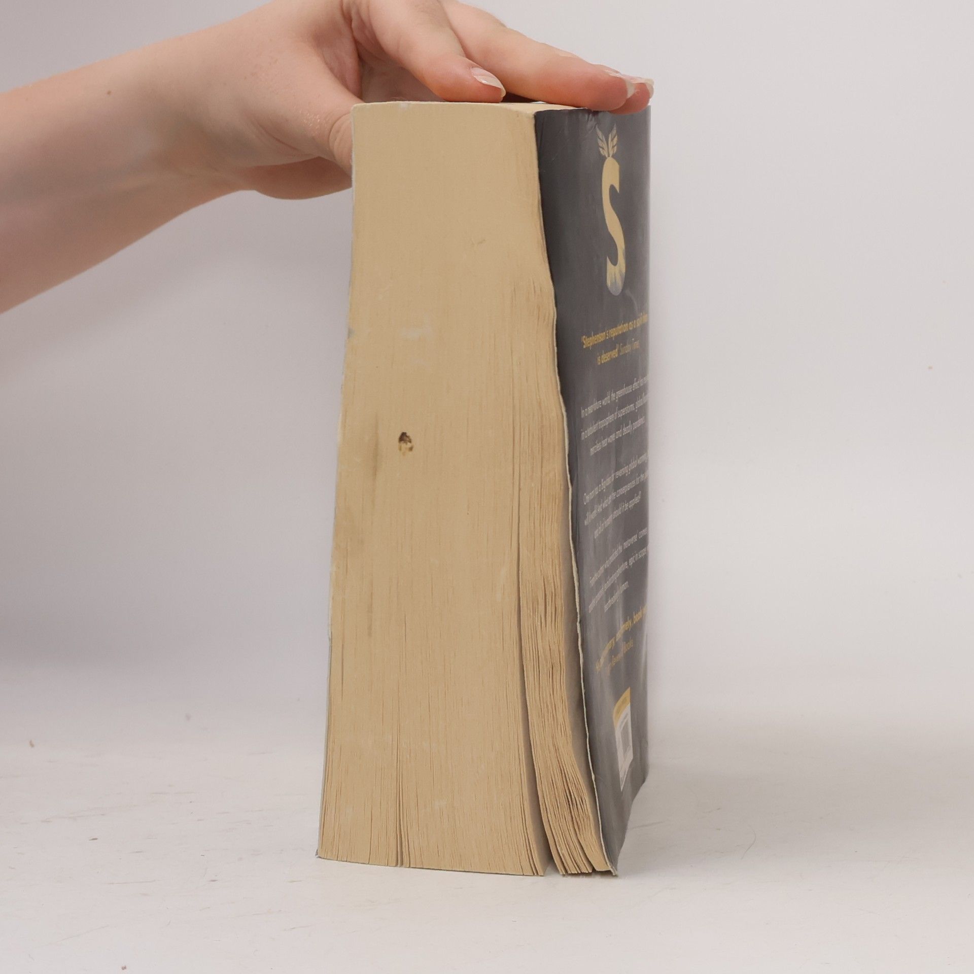 Neal Stephenson Termination Shock