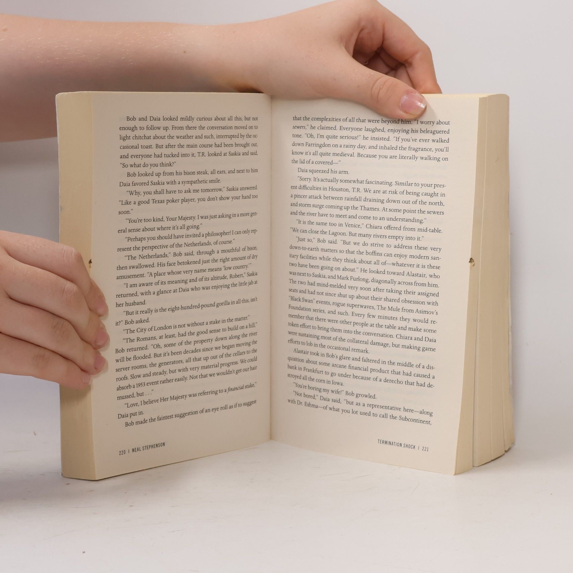 Neal Stephenson Termination Shock