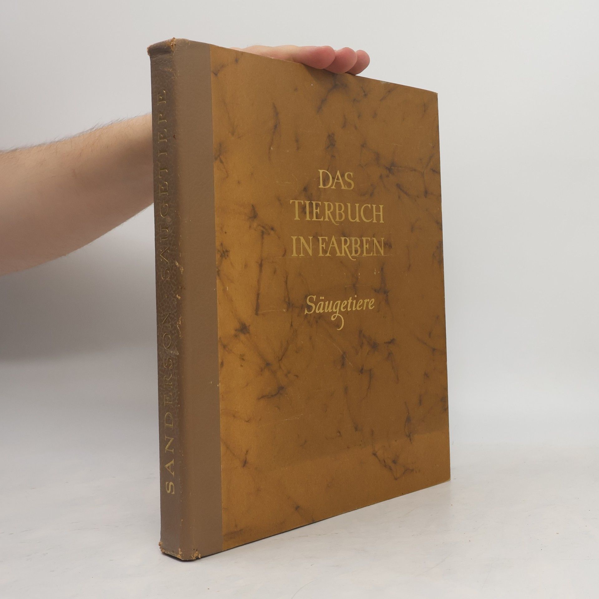 Collectif d'auteurs Das Tierbuch in Farben. Säugetiere