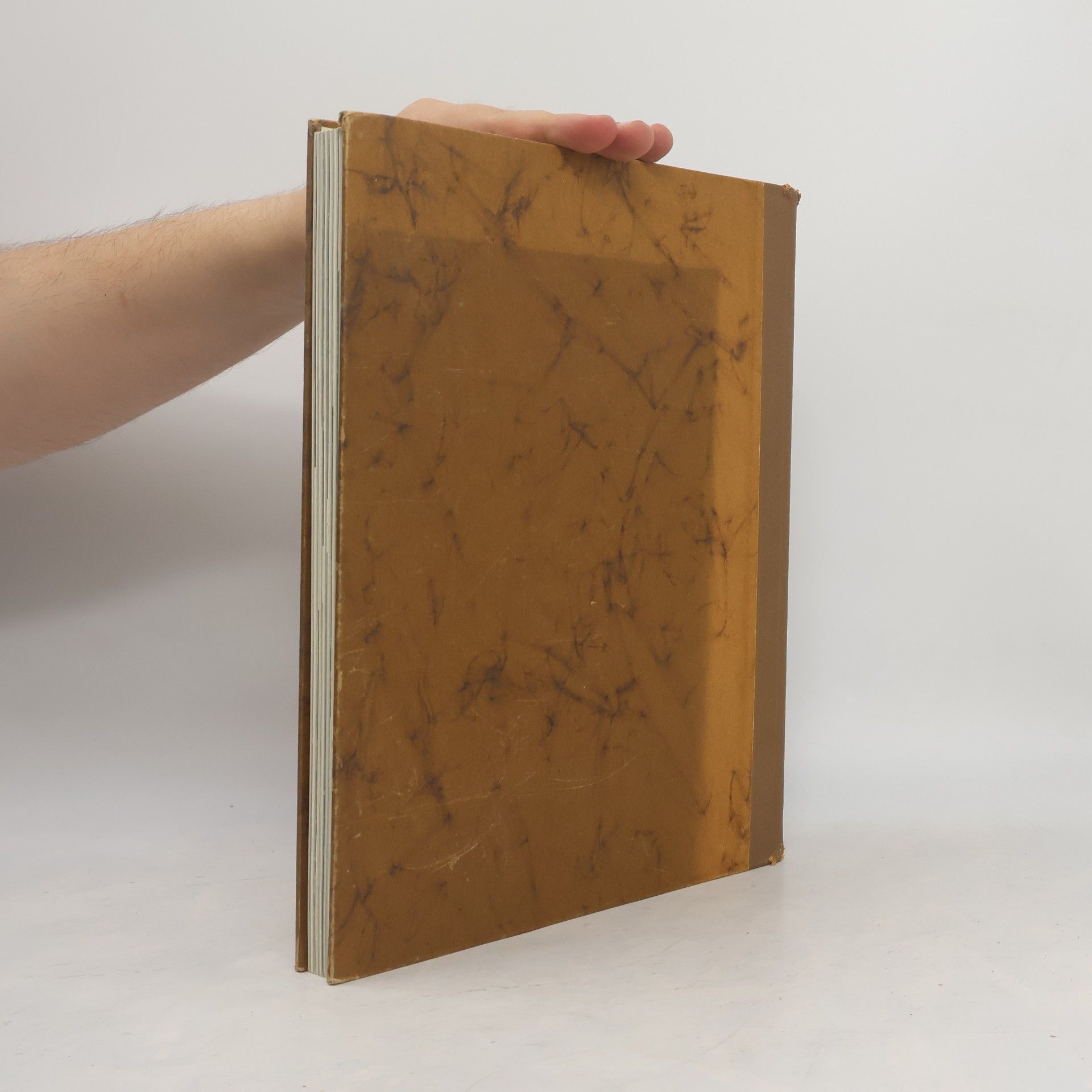 Autorenkollektiv Das Tierbuch in Farben. Säugetiere