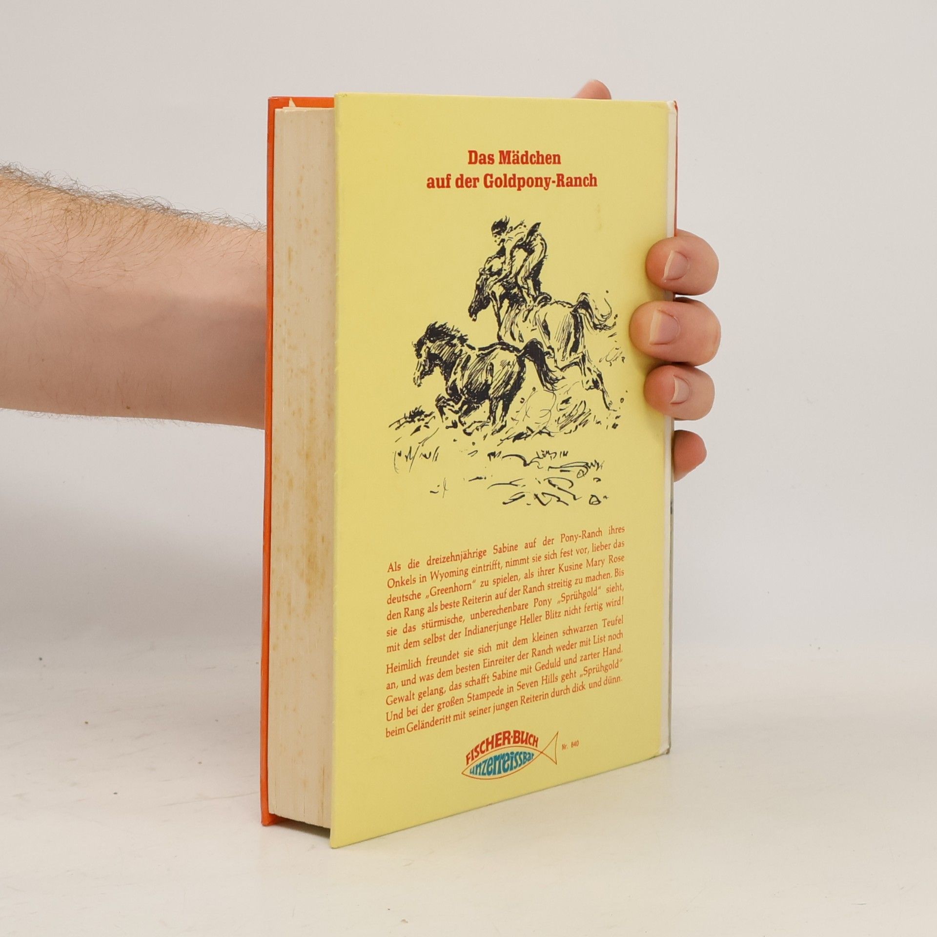 Rolf Ulrici Das Mädchen auf der Goldpony-Ranch