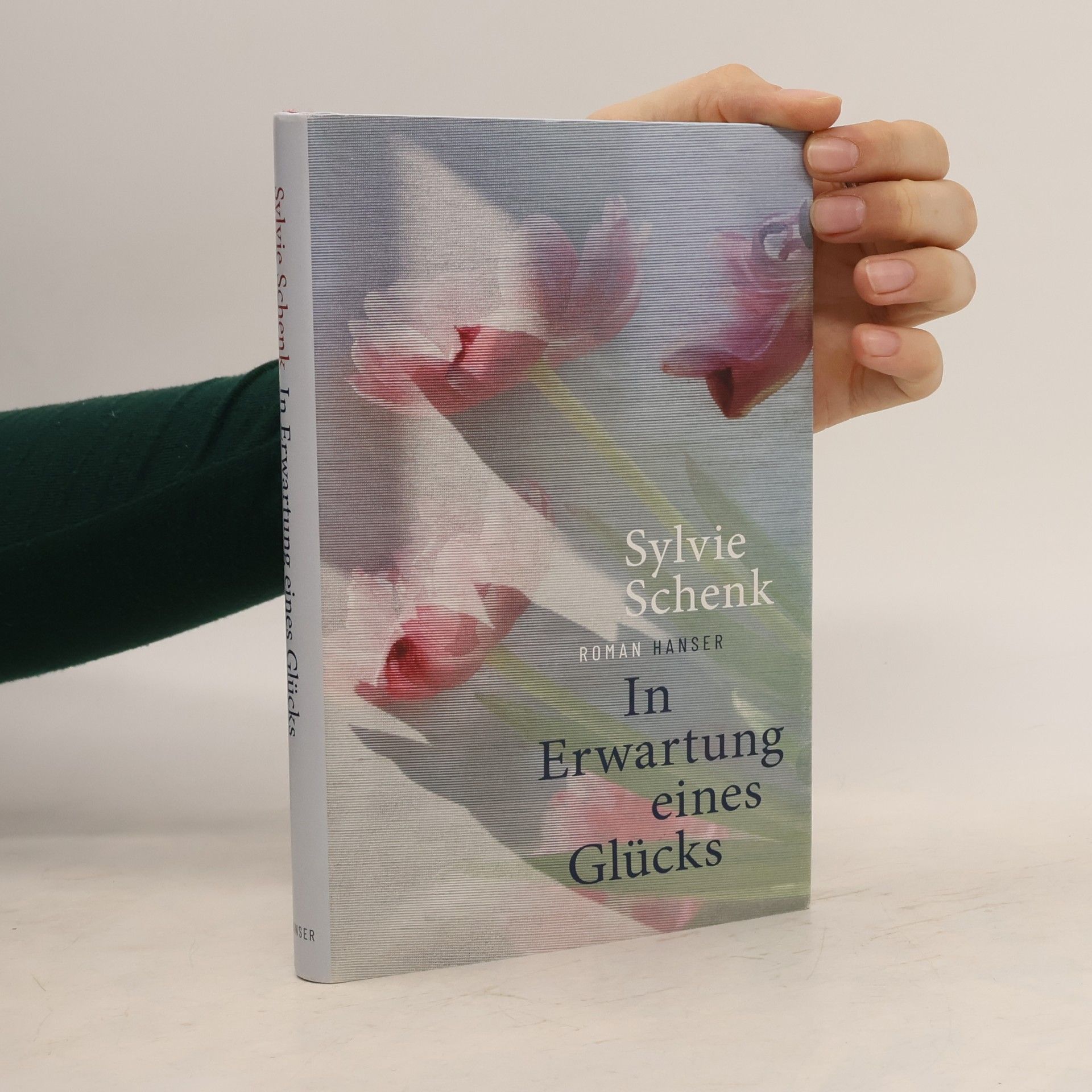 Sylvie Schenk In Erwartung eines Glücks