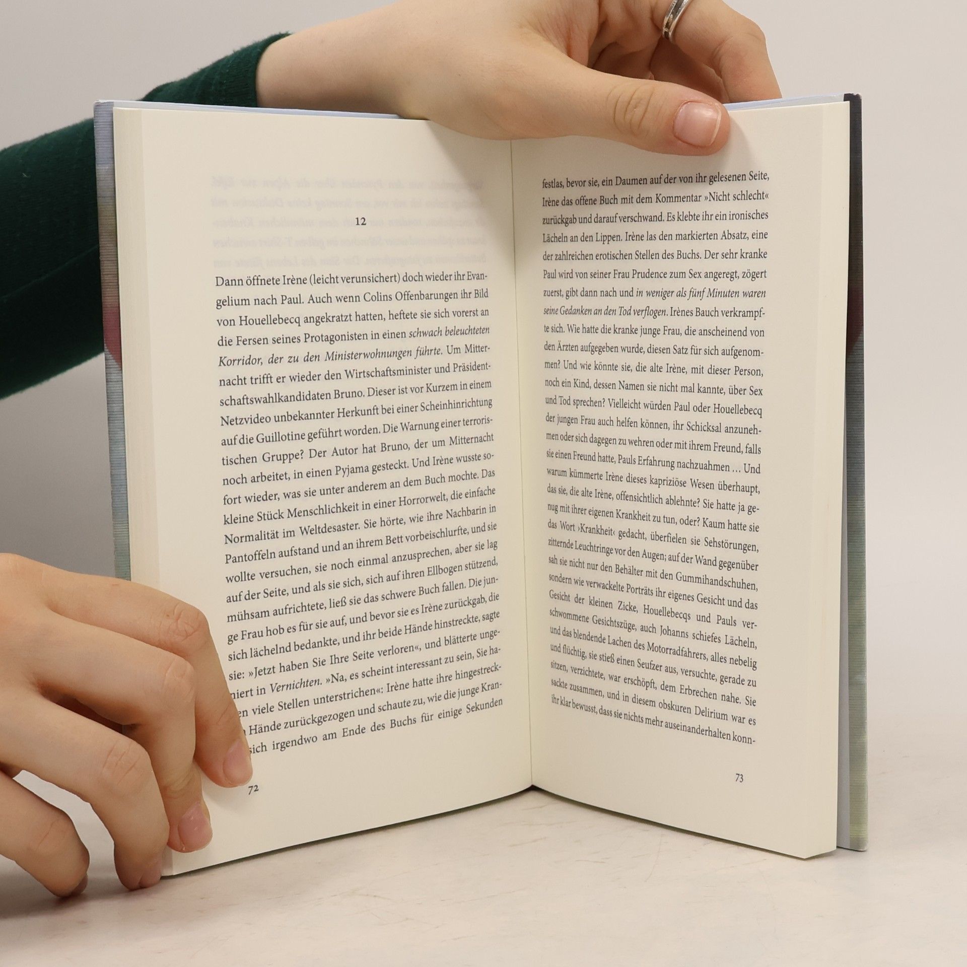 Sylvie Schenk In Erwartung eines Glücks