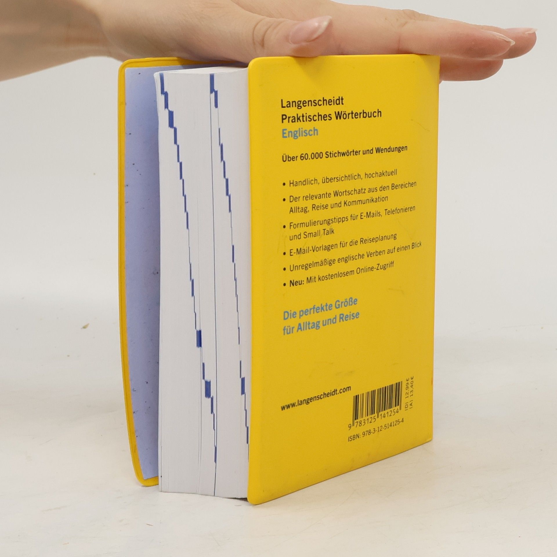 Heike Pleisteiner Langenscheidt Praktisches Wörterbuch Englisch