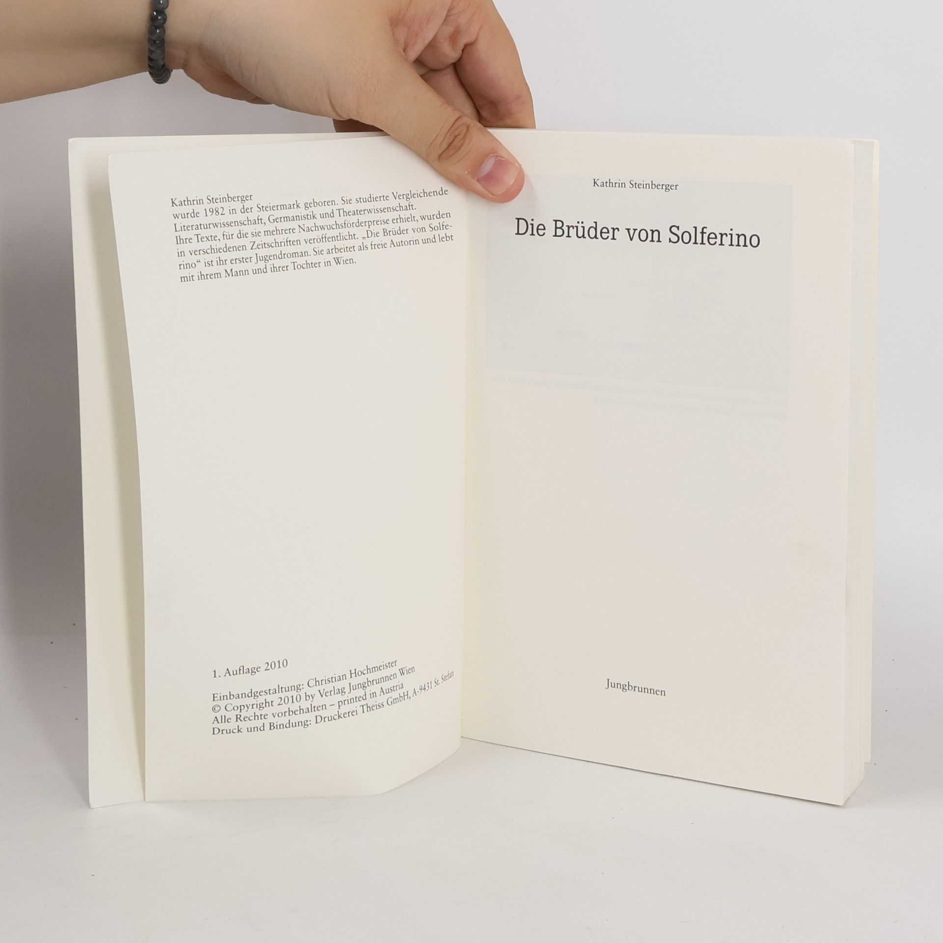 Kathrin Steinberger Die Brüder von Solferino