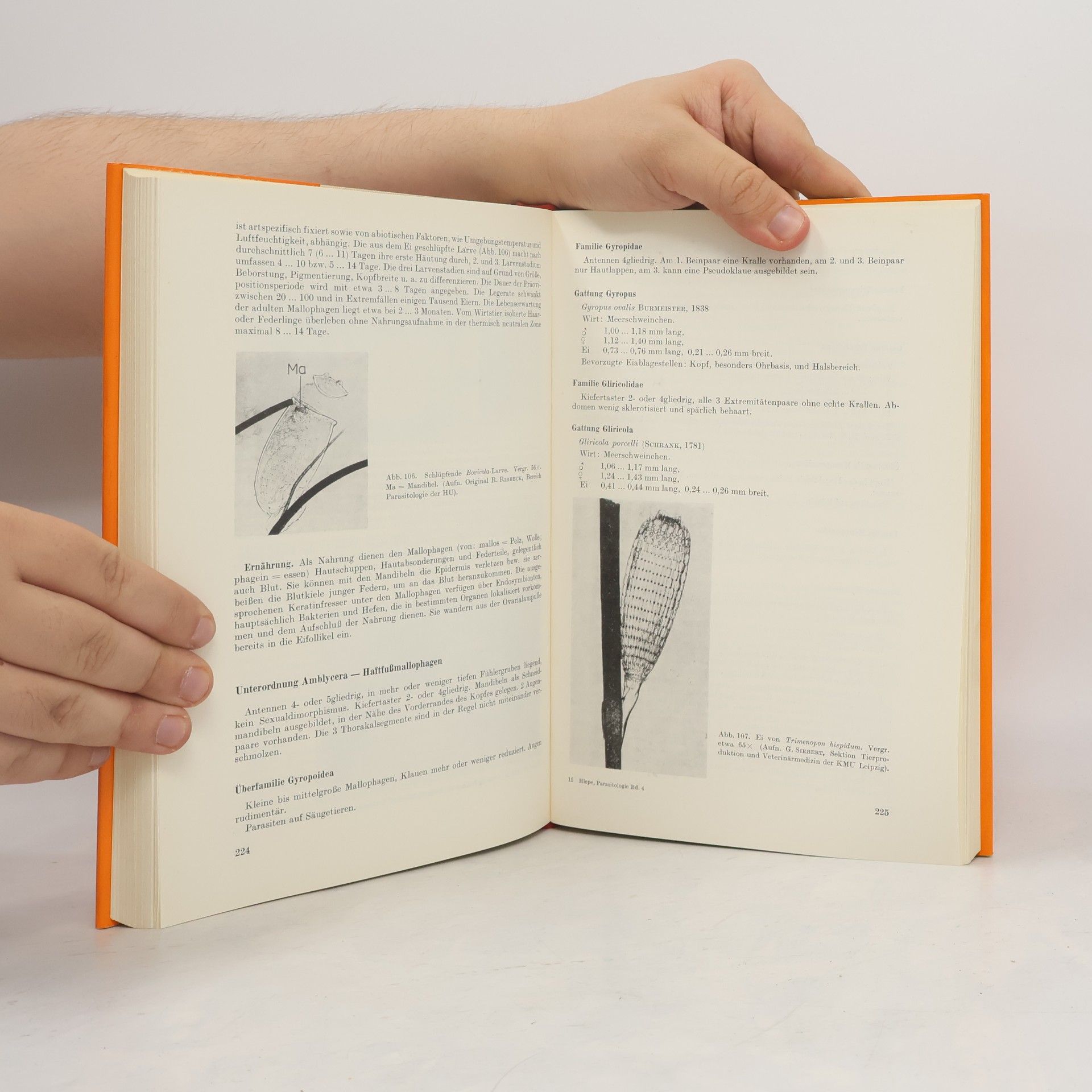 Theodor Hiepe Lehrbuch der Parasitologie. Band 4: Veterinärmedizinische Protozoologie