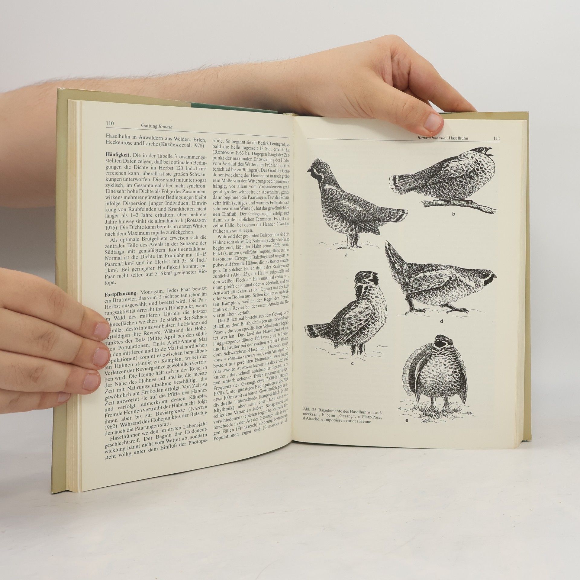 R.L. Flint Handbuch der Vögel der Sowjetunion Band 4