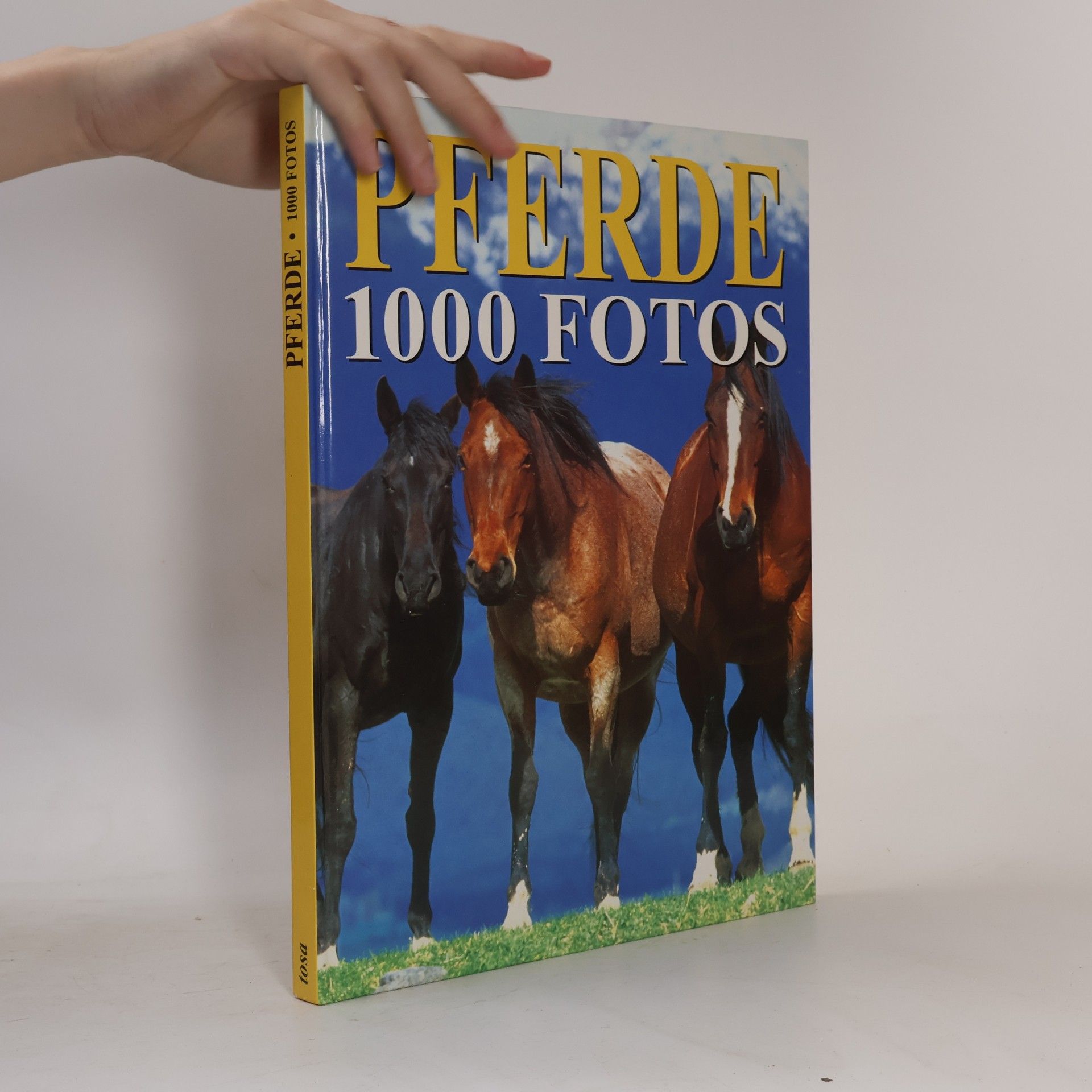 Bertrand Leclair Pferde, 1000 Fotos