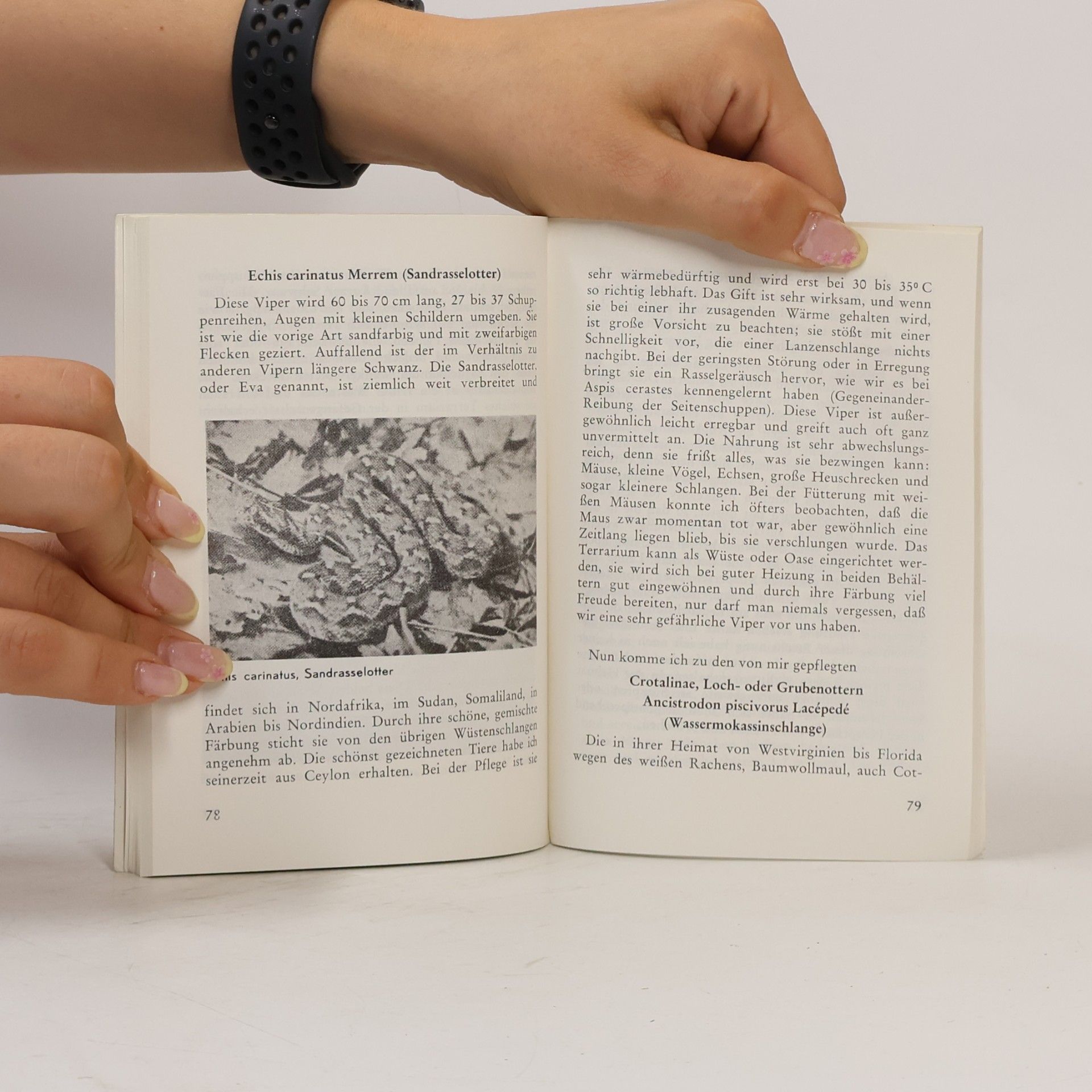 Various authors Was weißt Du wirklich über Schlangen? + Giftschlangen