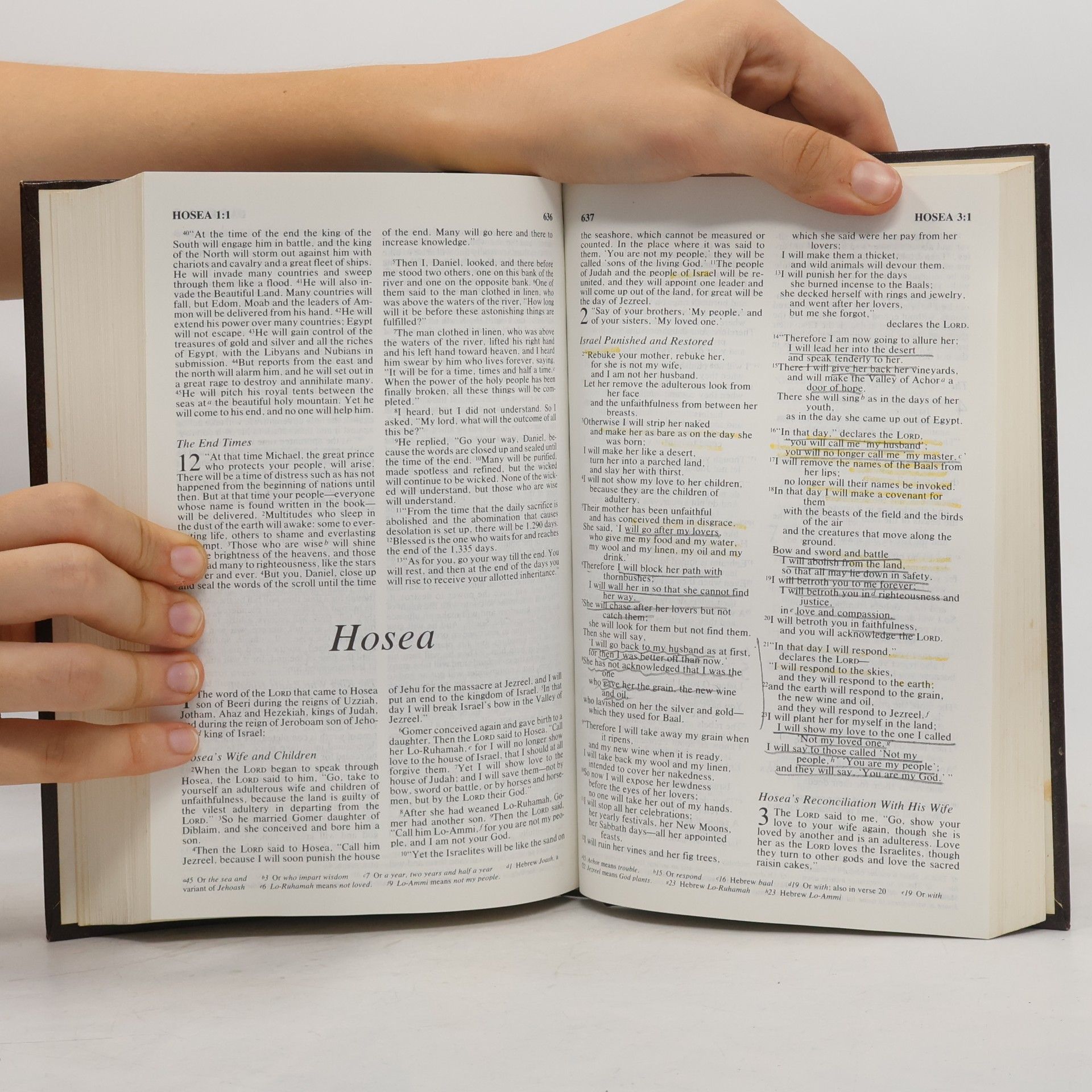 Collectif d'auteurs Holy Bible. New International Version