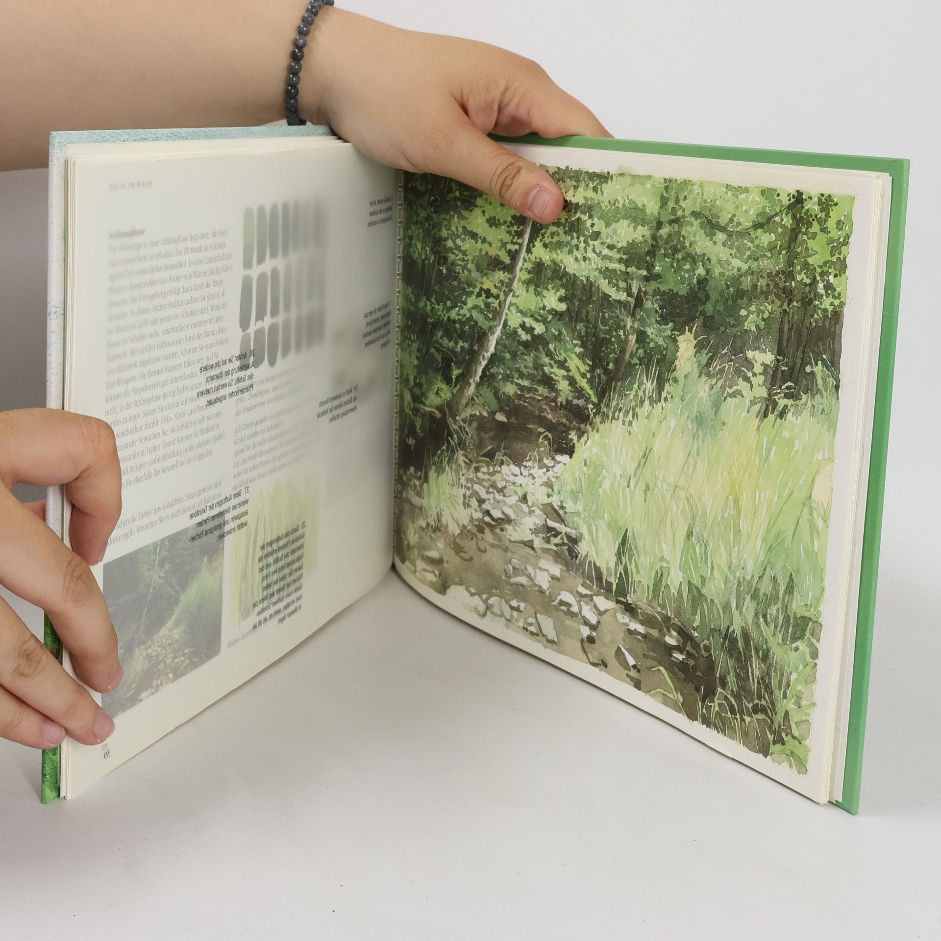 Albert Jan Cool Aquarellieren lernen - Landschaften