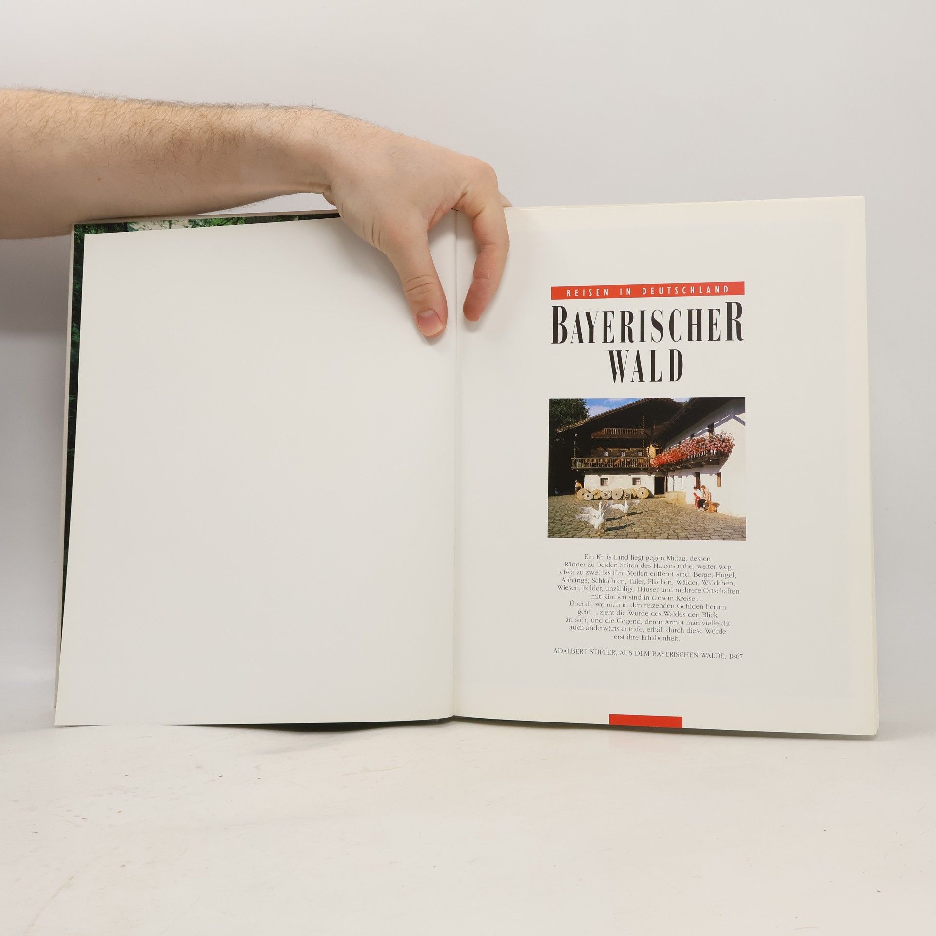 Various authors Bayerischer Wald