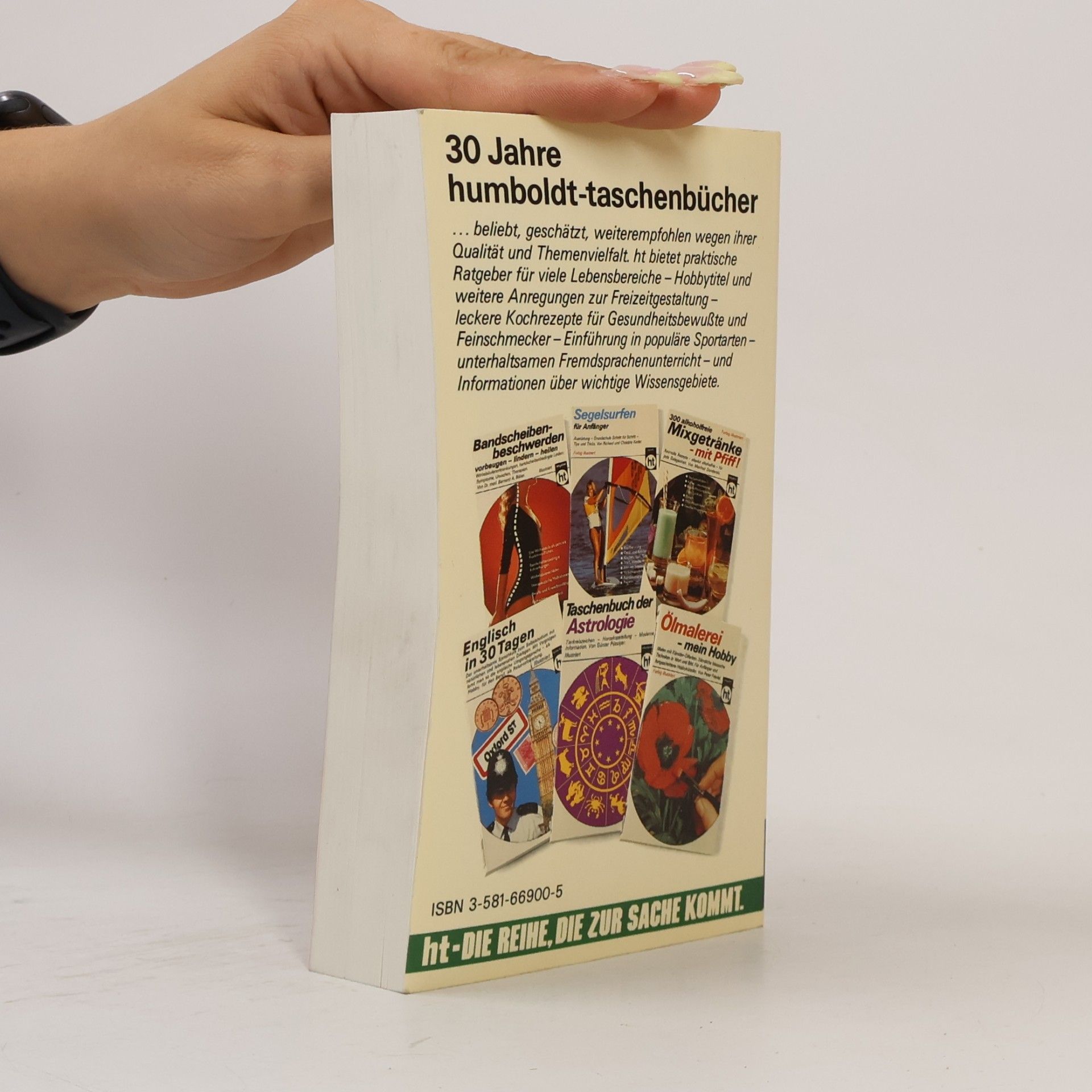 Rita Danyliuk Das grosse Taschenbuch der Freizeitspiele