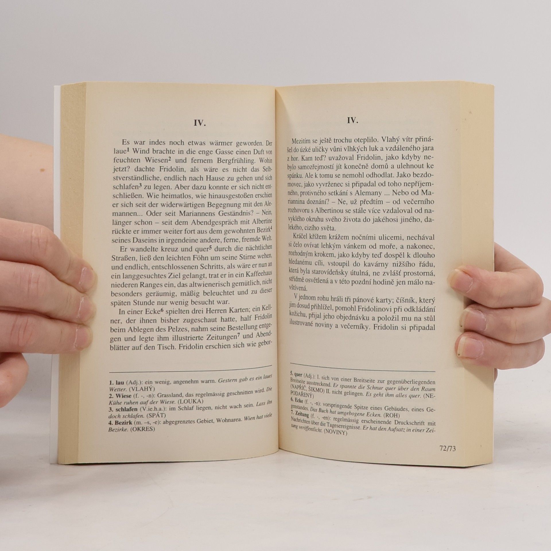 Arthur Schnitzler Snová novela. Die Traumnovelle